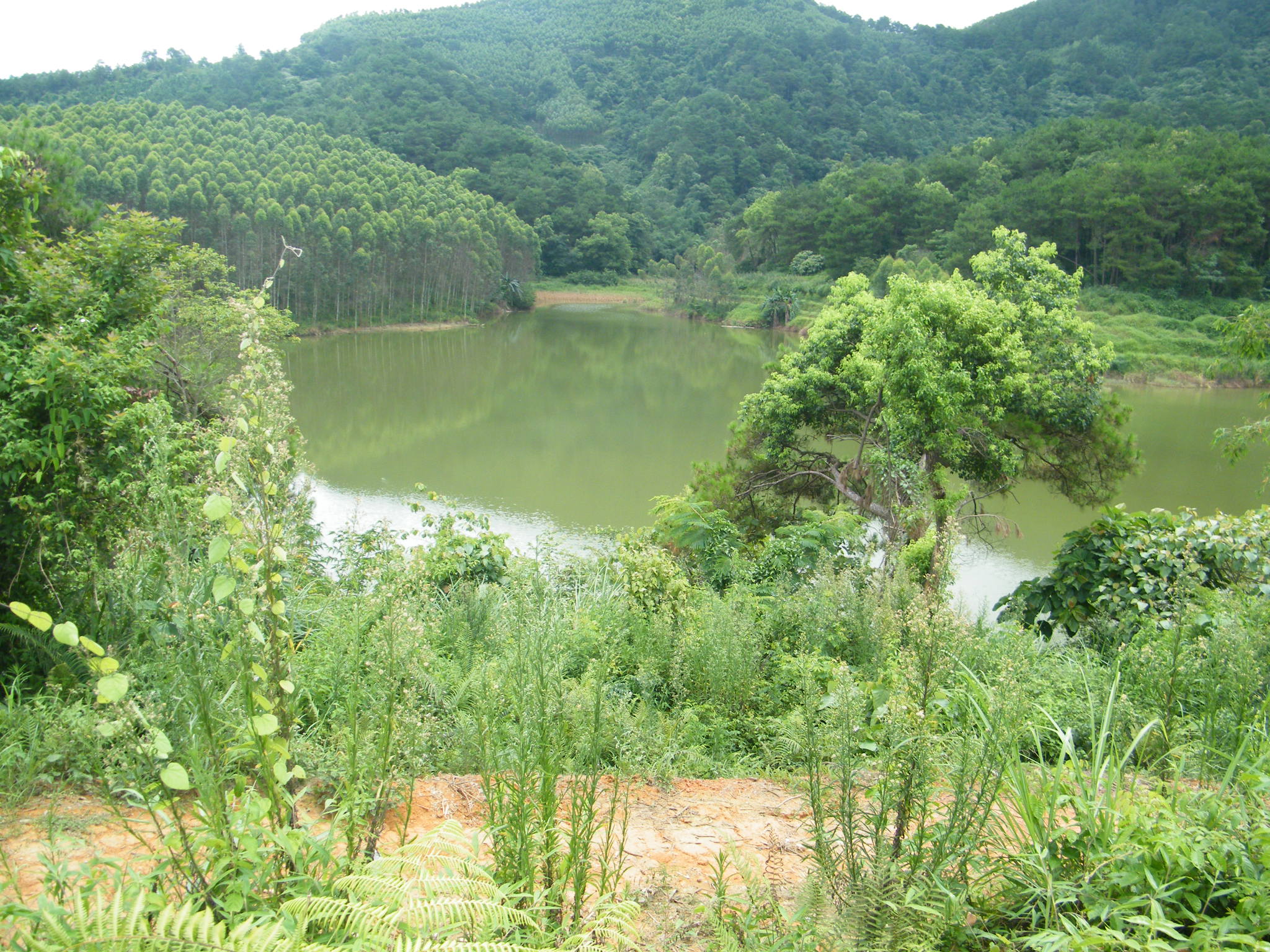 那楼水库