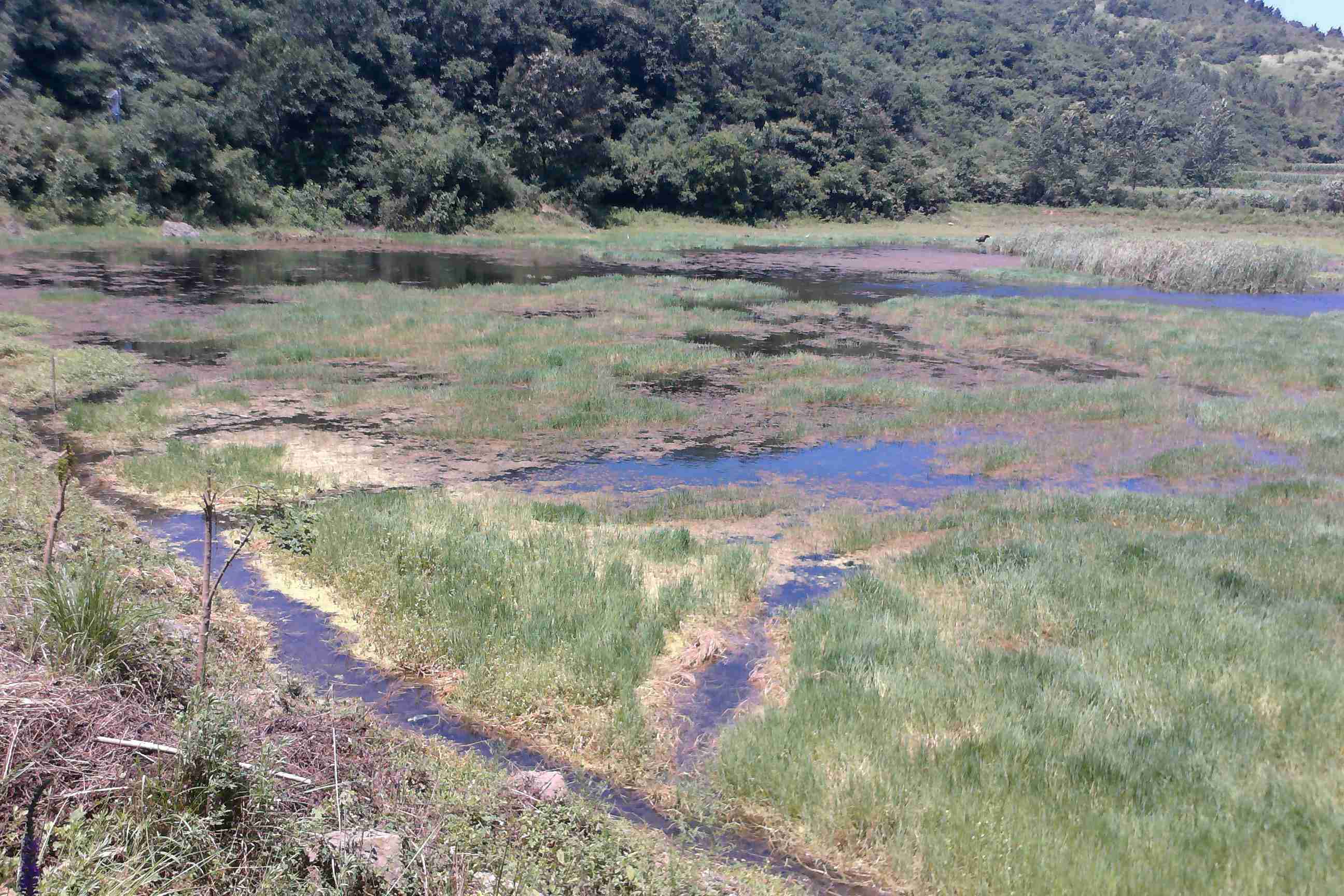 黄家冲水库