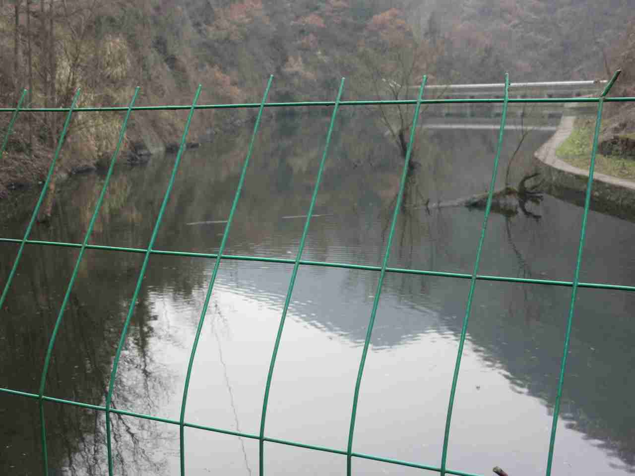 红岩背林场水库