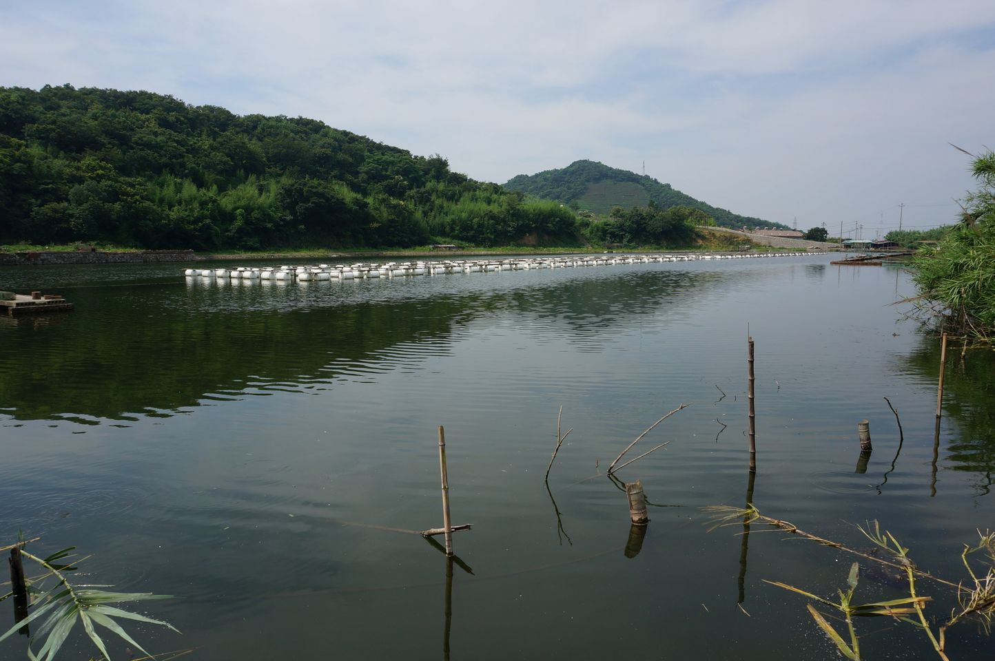 里岙海涂水库