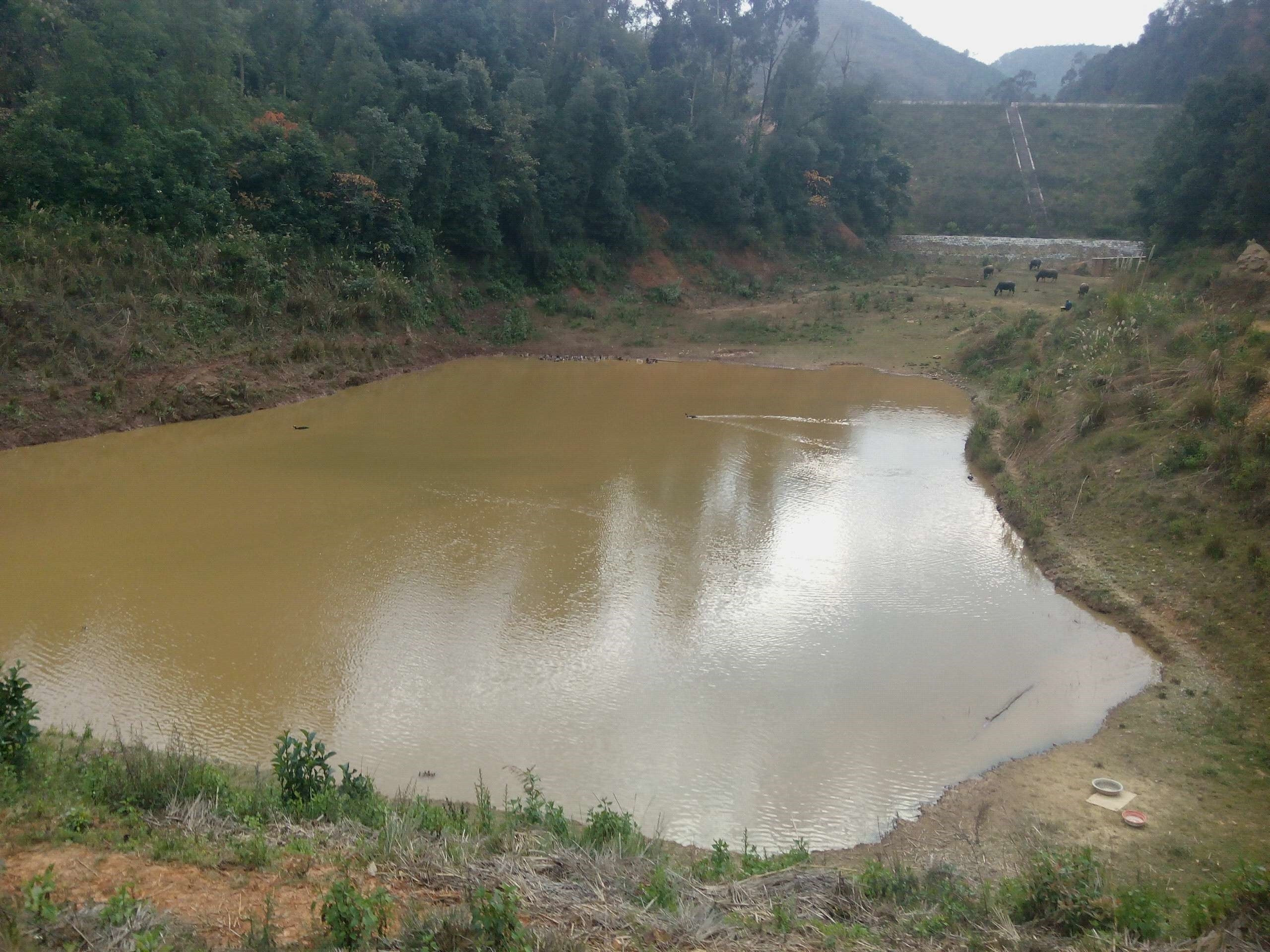 永利一坝水库