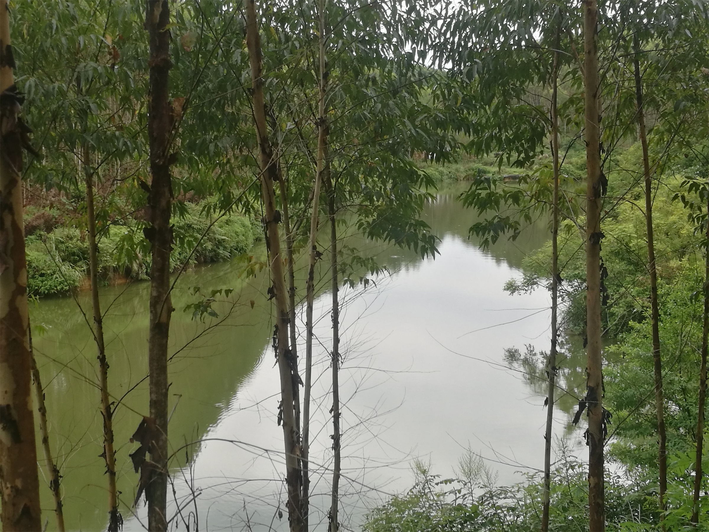 沙江沟水库