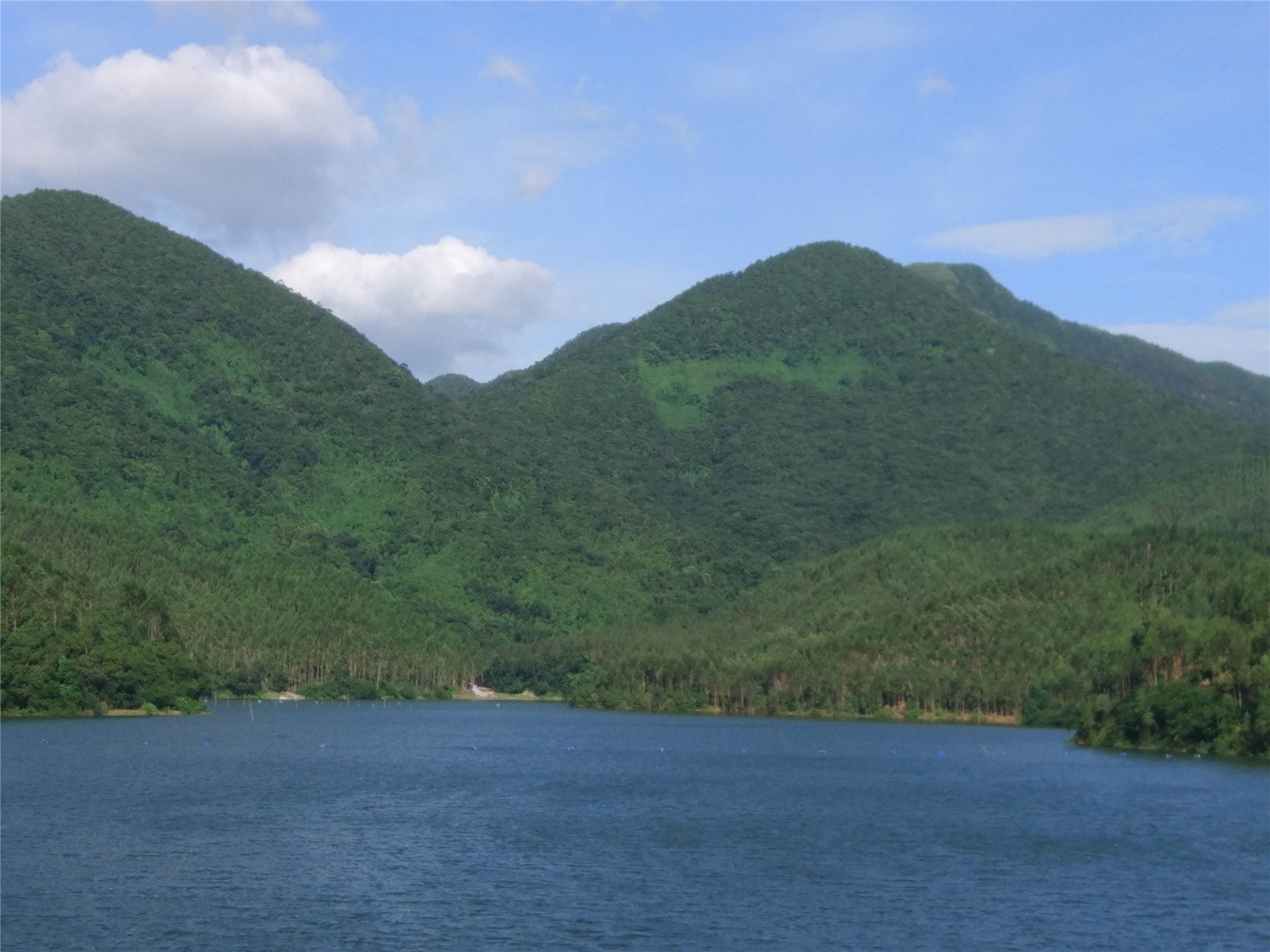 凤山田水库