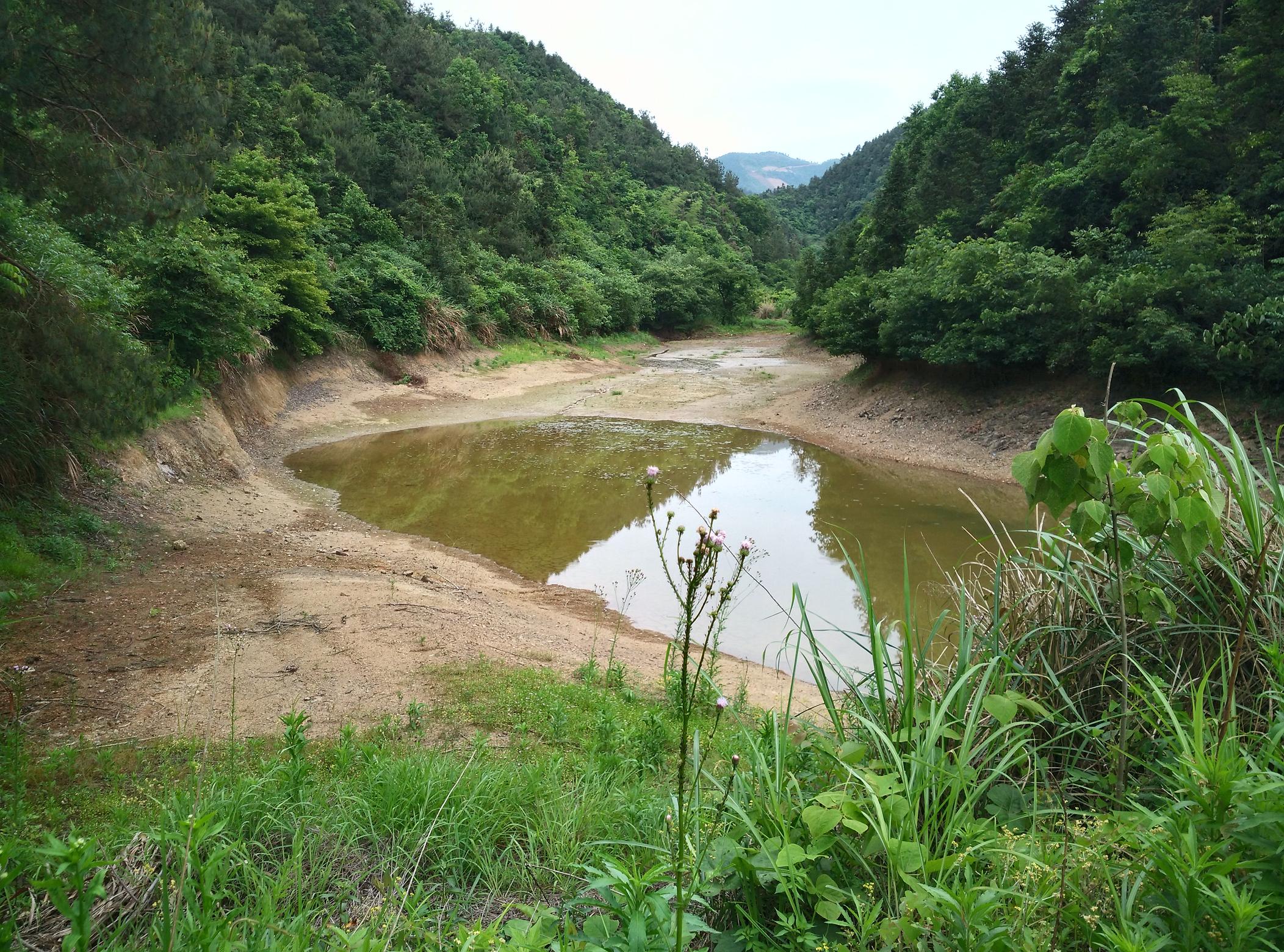 牛坞山塘