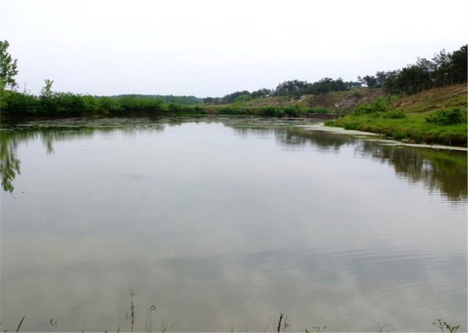 雷那应水库