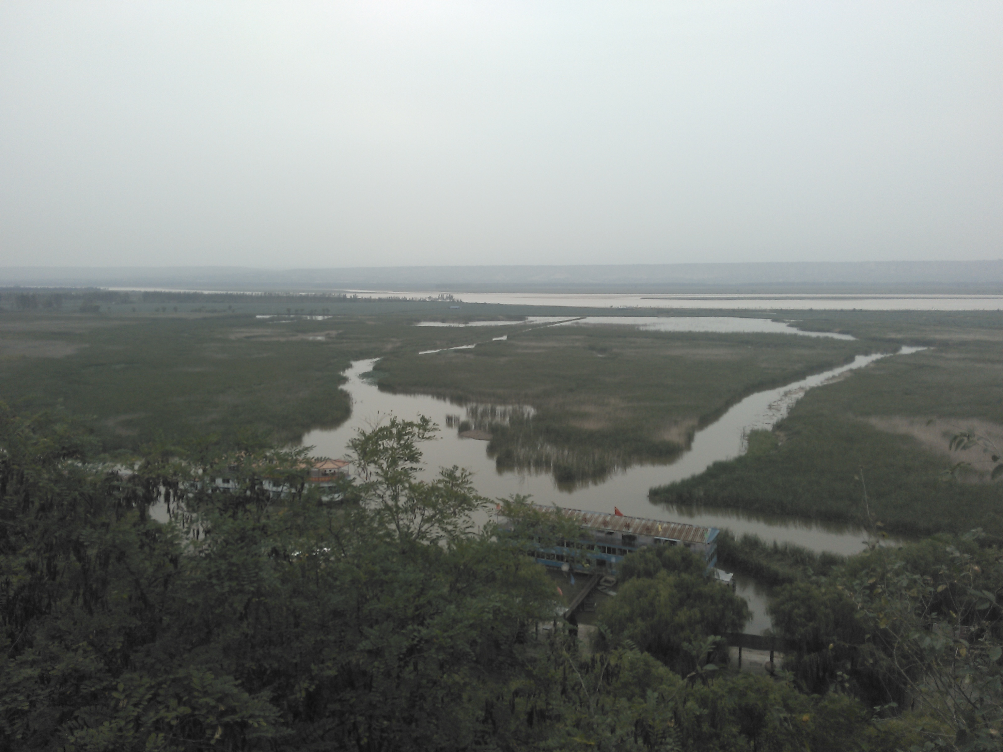 鼎湖湾芦苇荡风景区