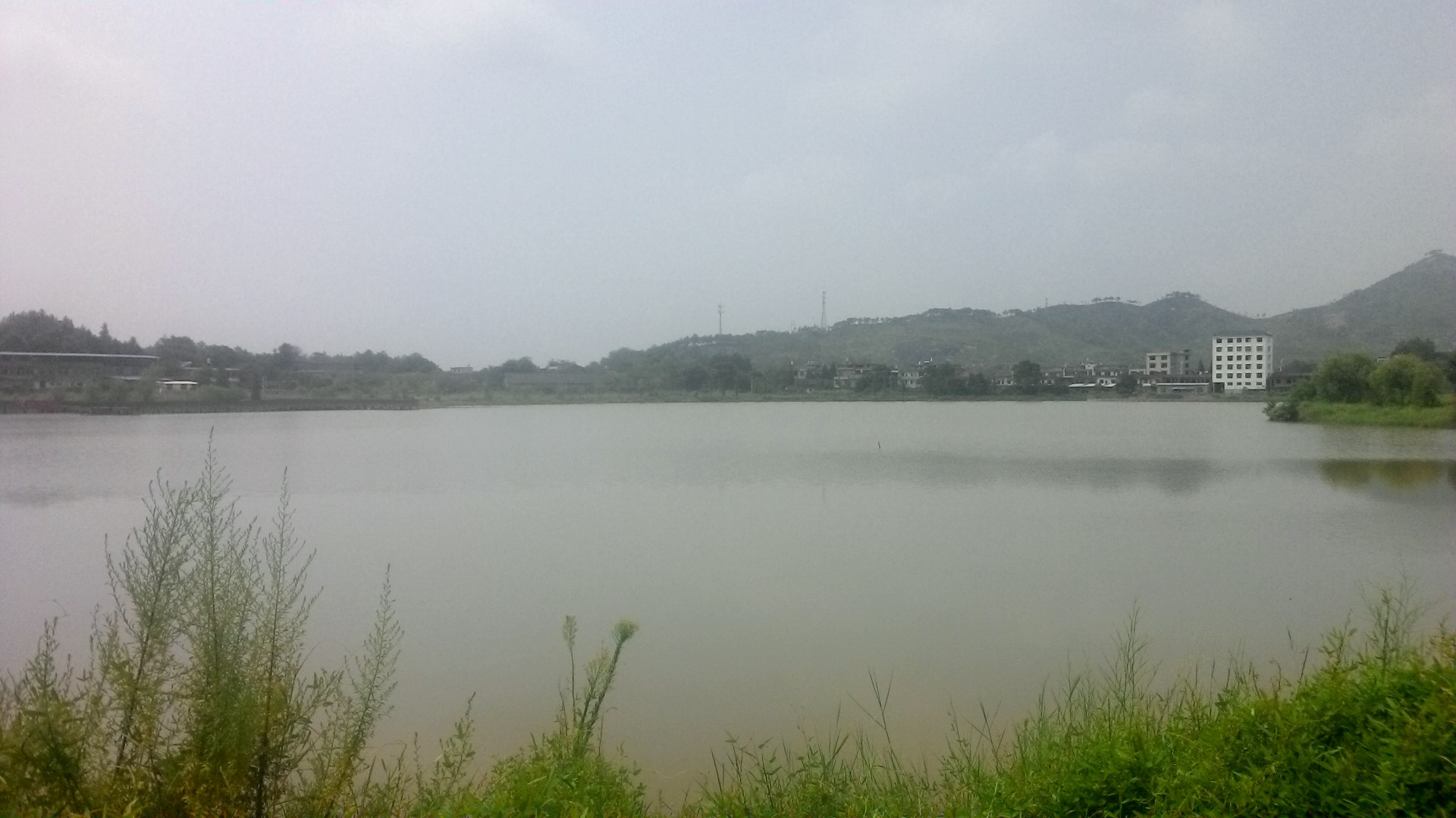 绿草湖湿地公园