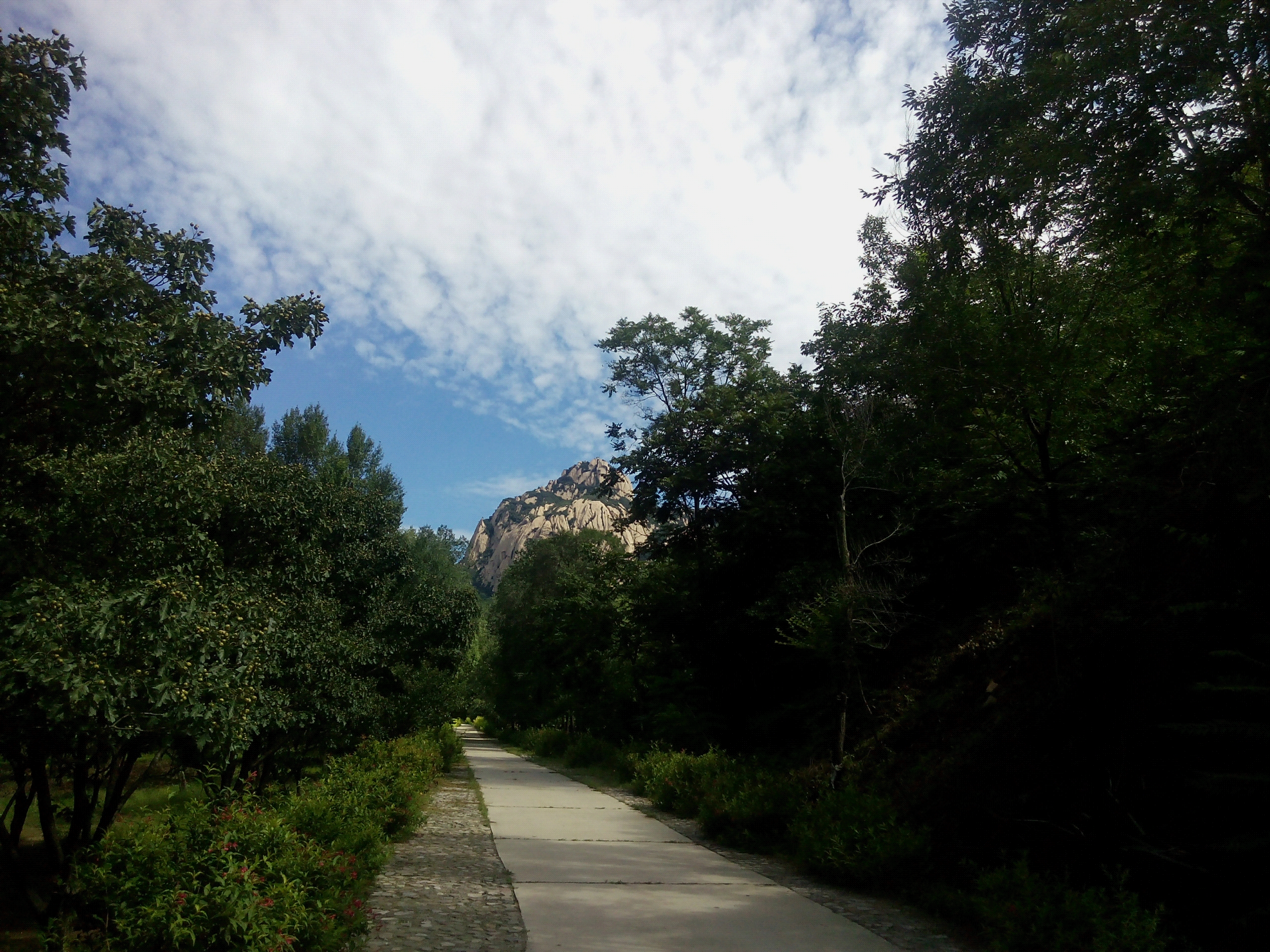 莲花山自然保护区