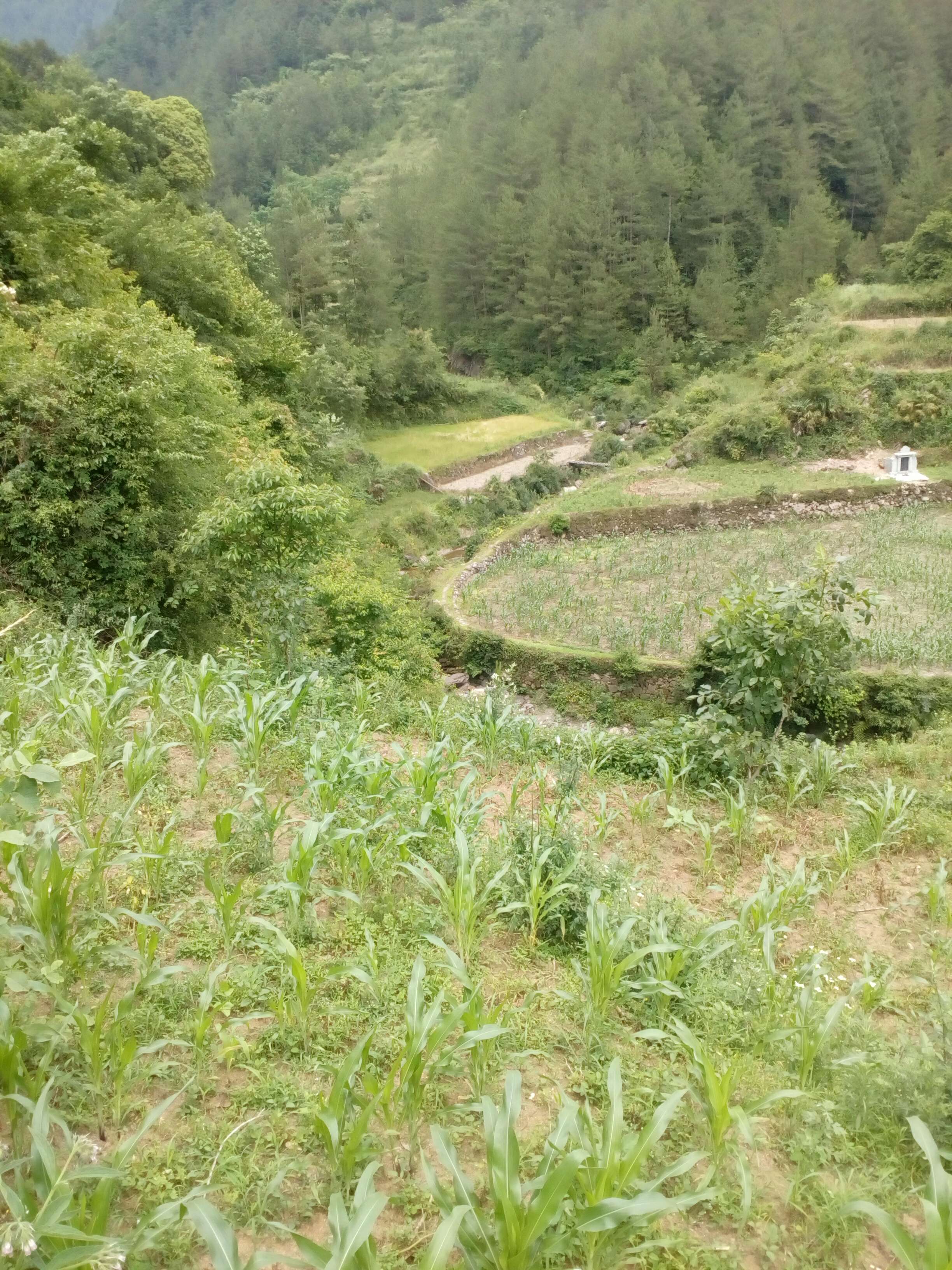 狮子岩河坝