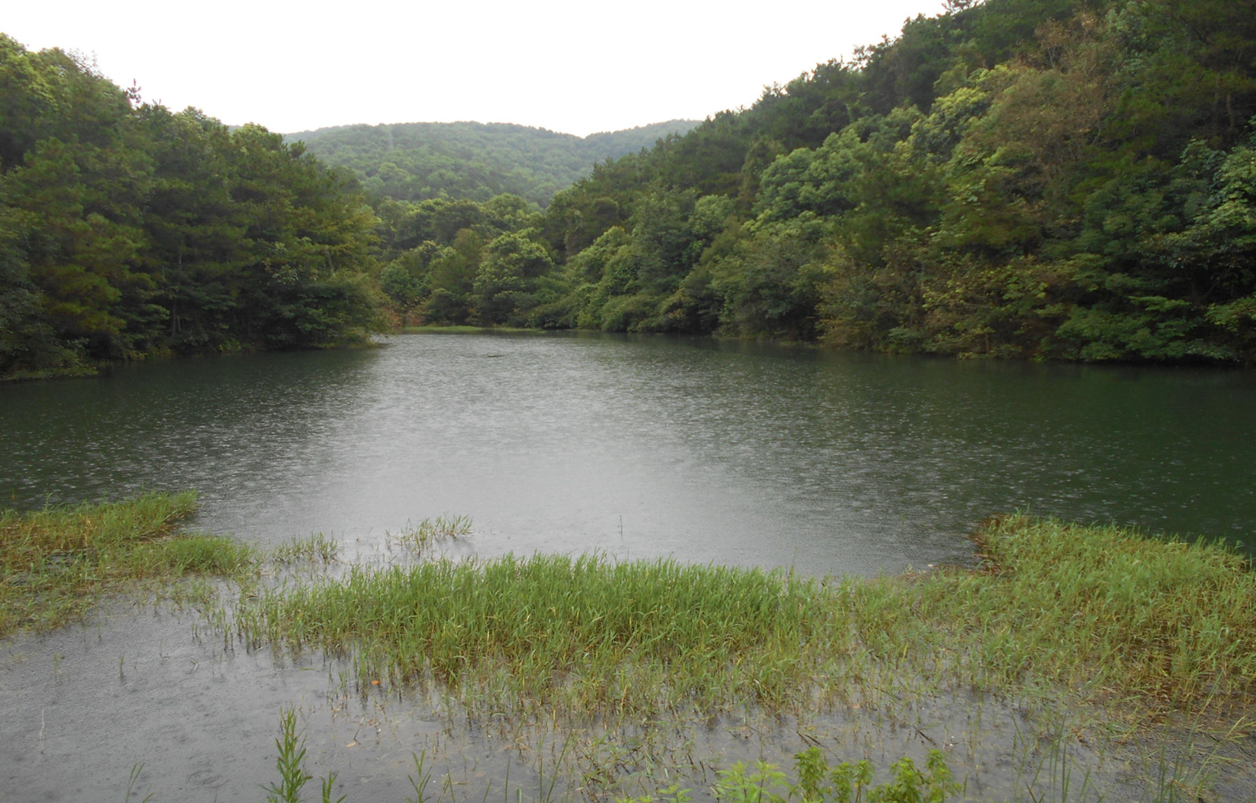 陈家湾水库