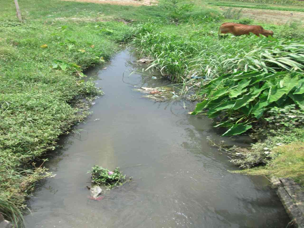 龙湖溪