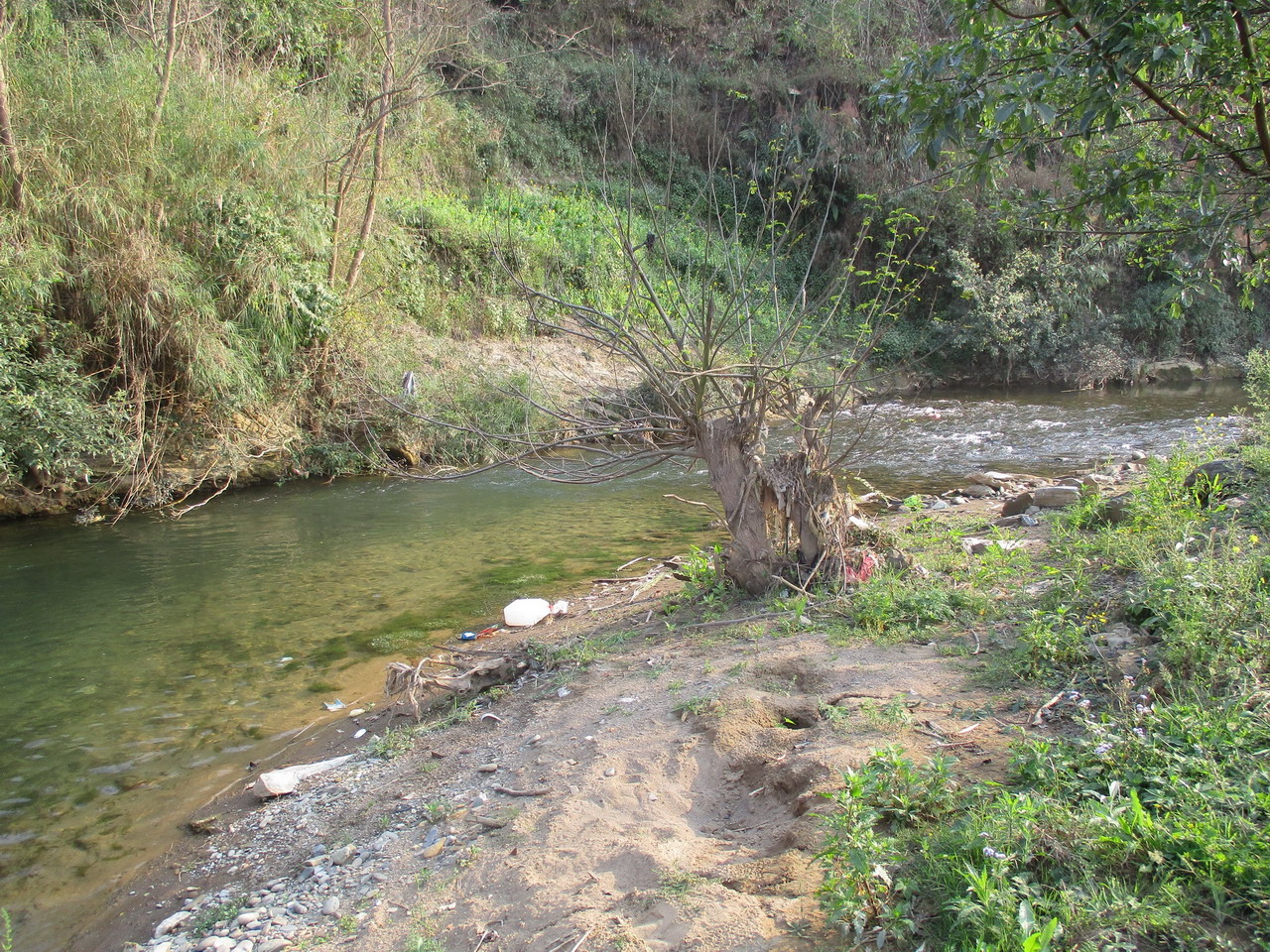 设里河新安村河湾