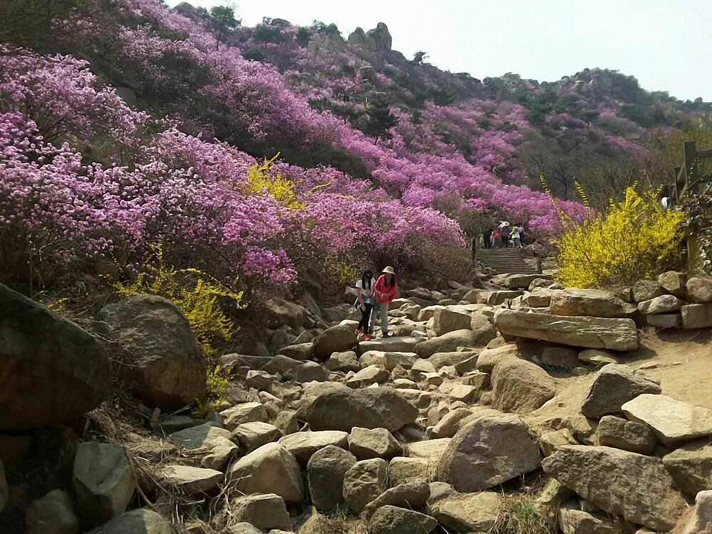 珠山风景区