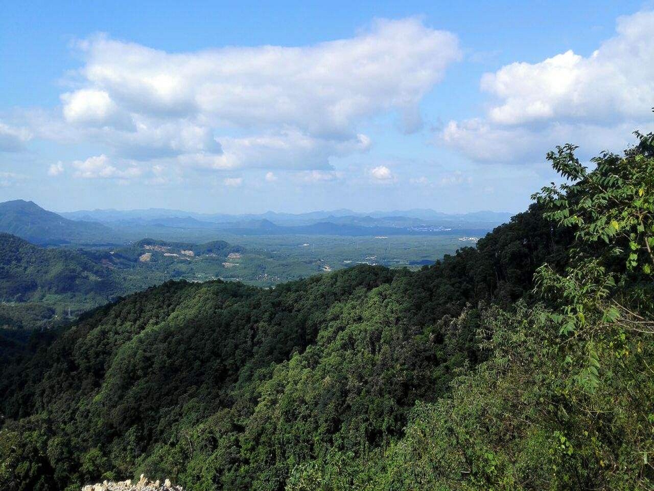 黎母山自然保护区