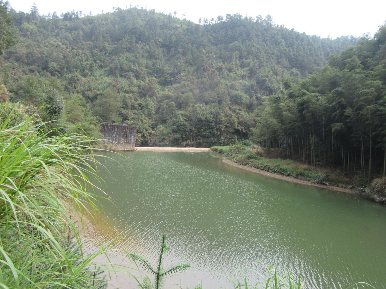 木岱口水库