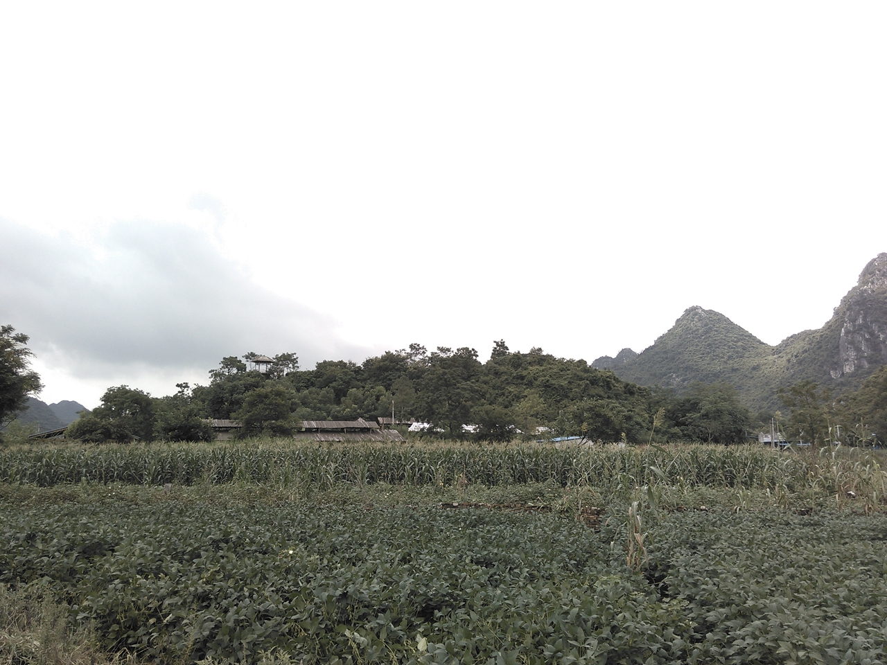 灵龟宝山