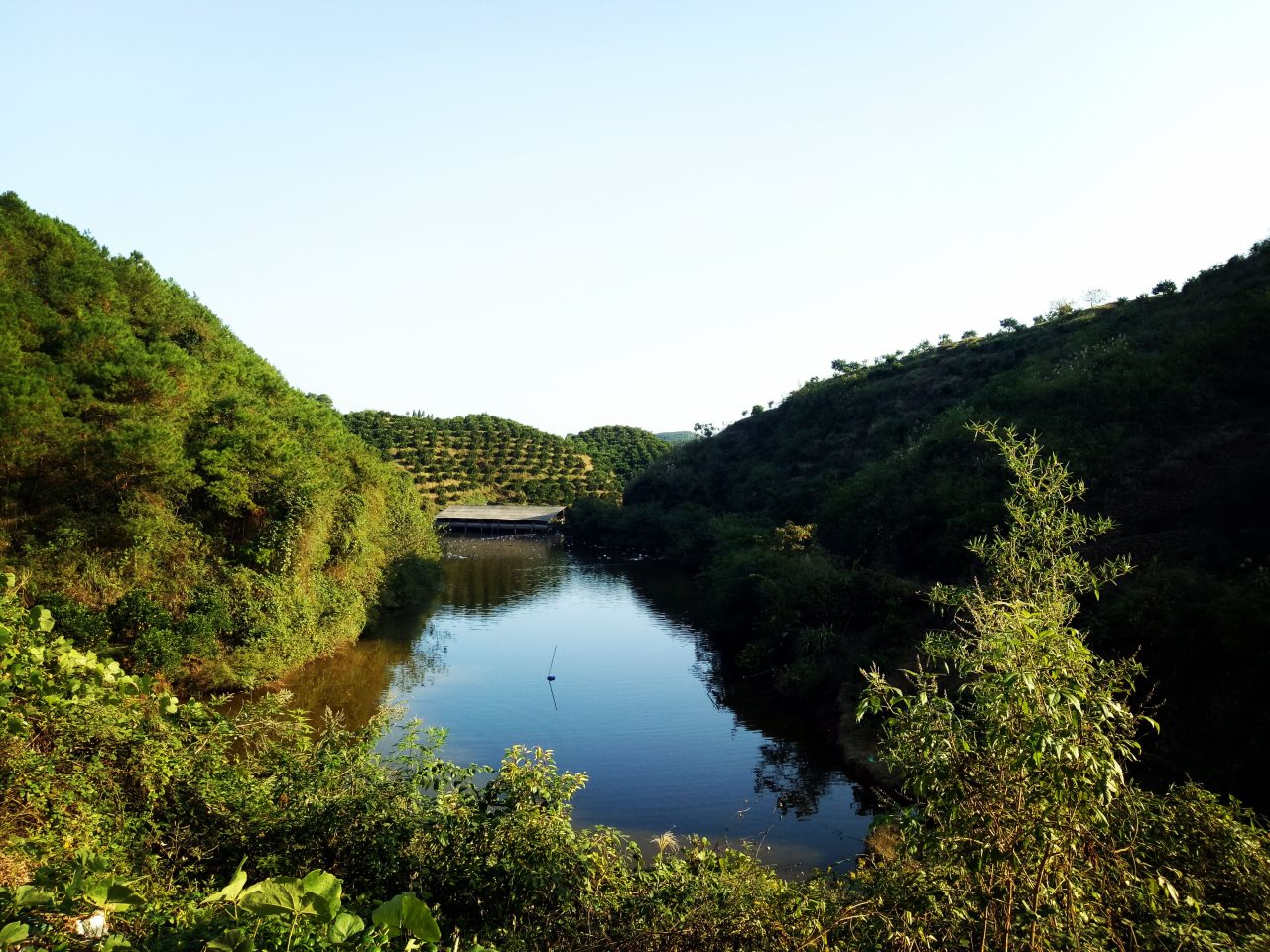 井水冲水库