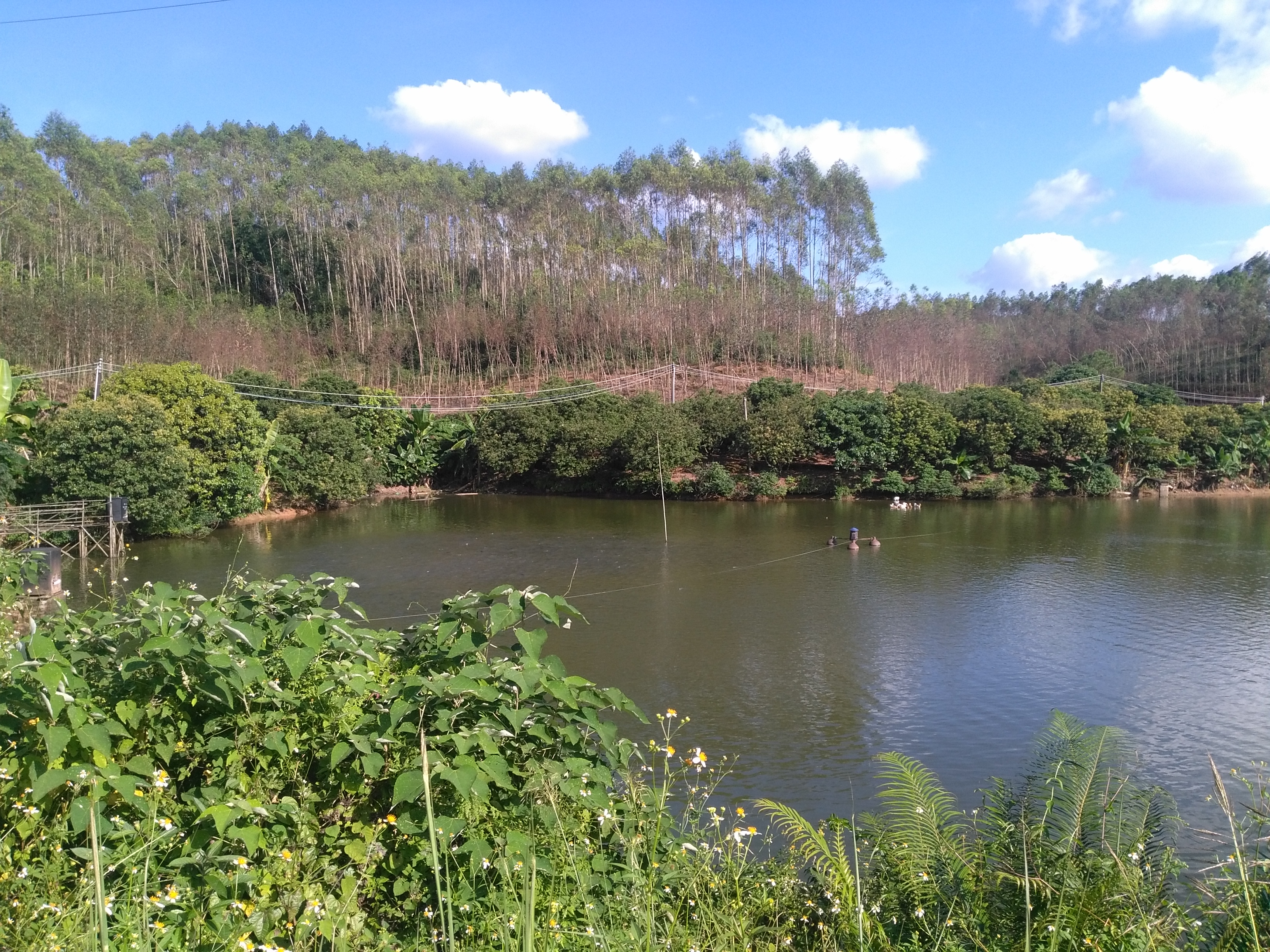 花冲水库