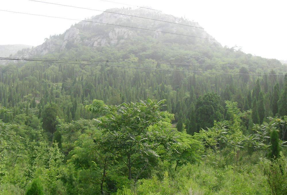 济宁泗水县青龙山景区