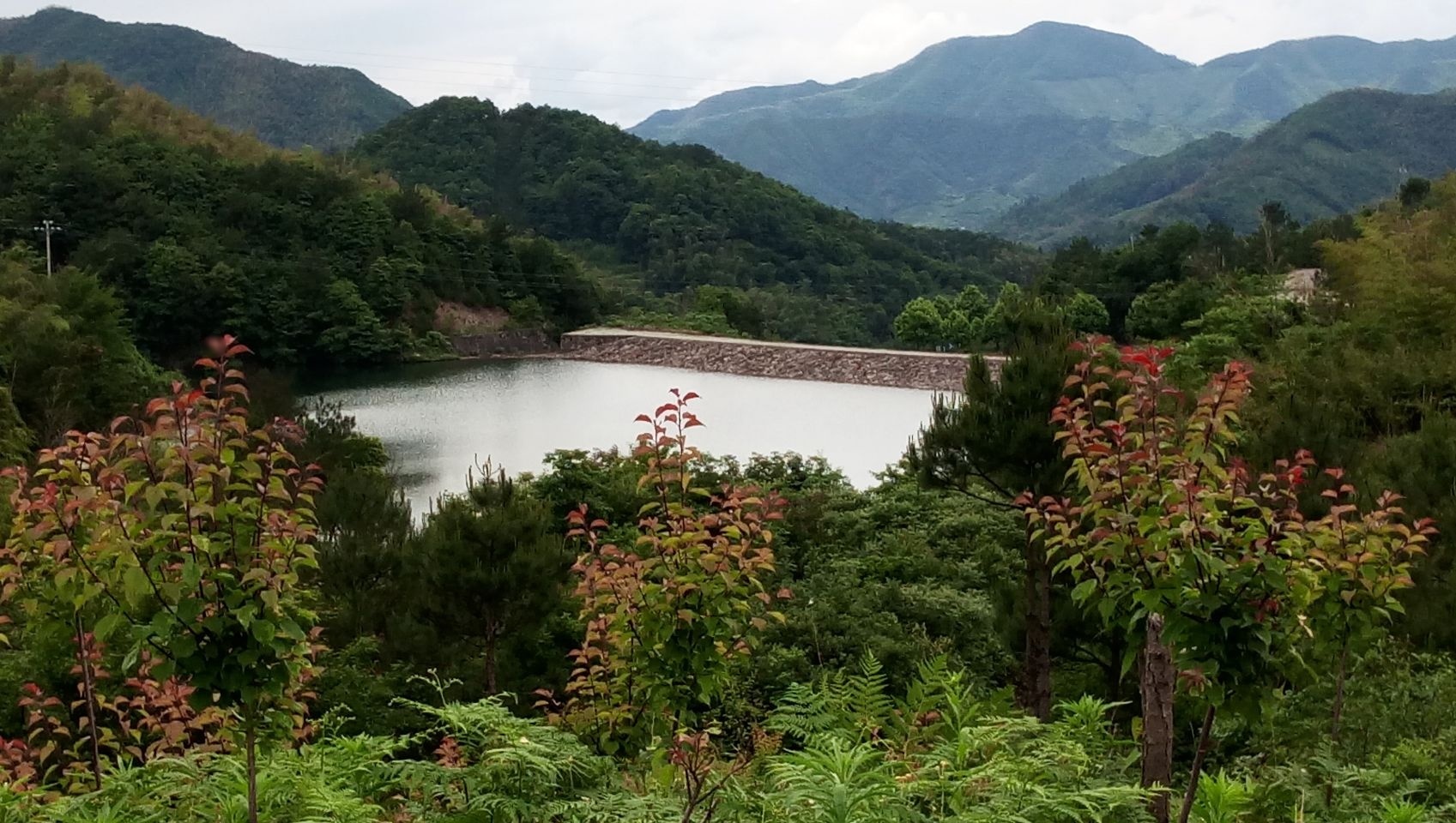 塘岸水库