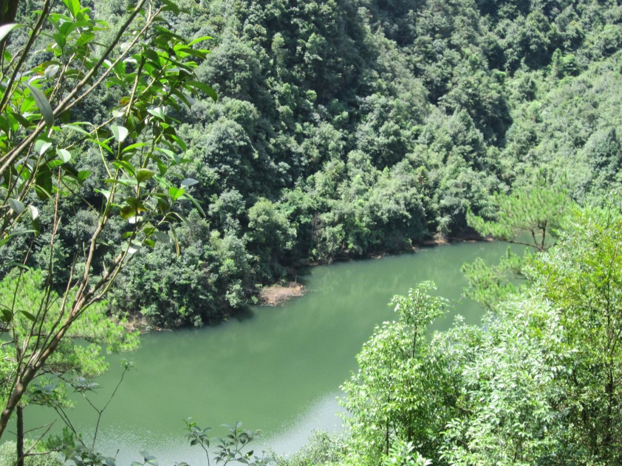 后溪林水库