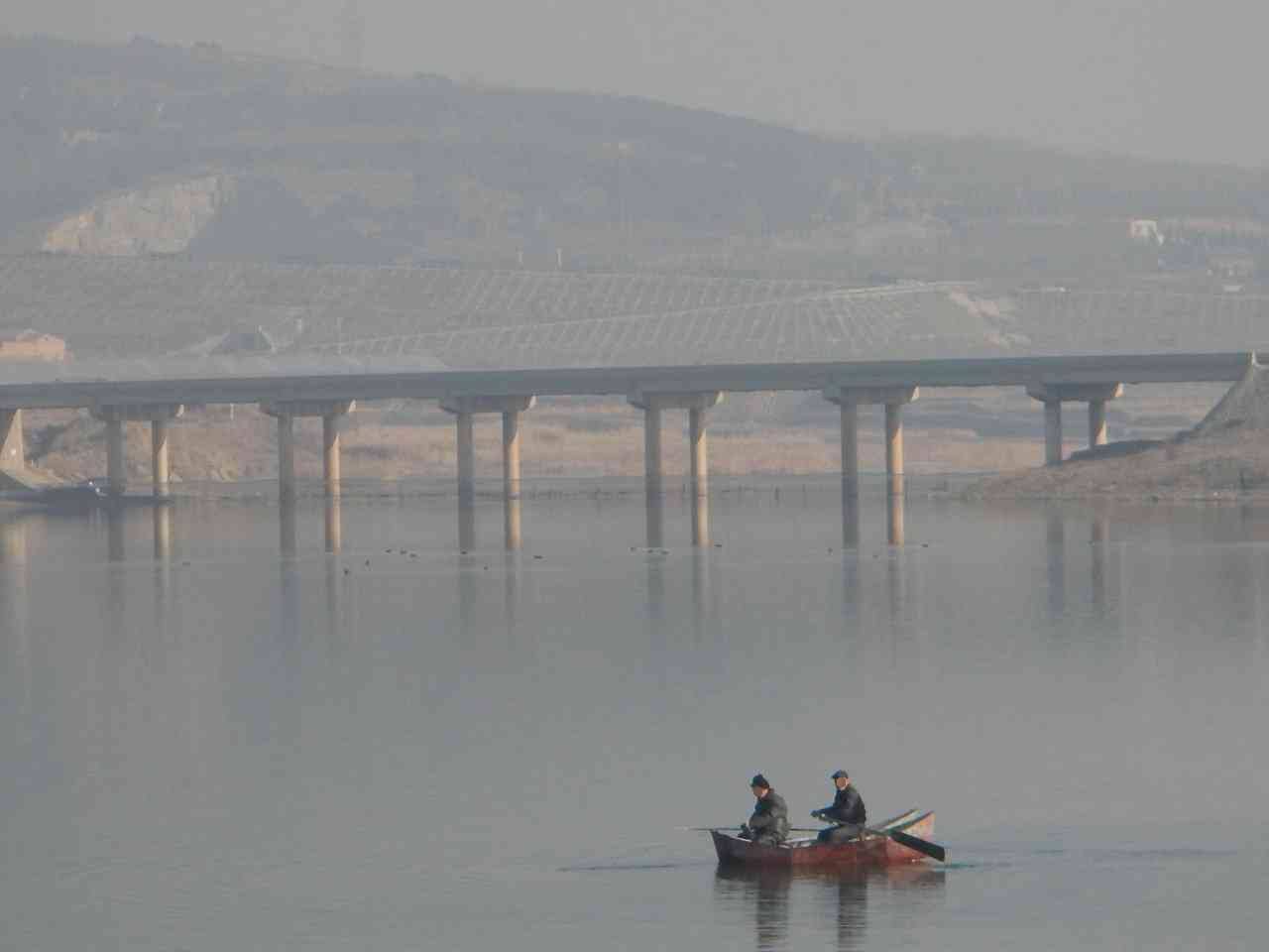 陶清河