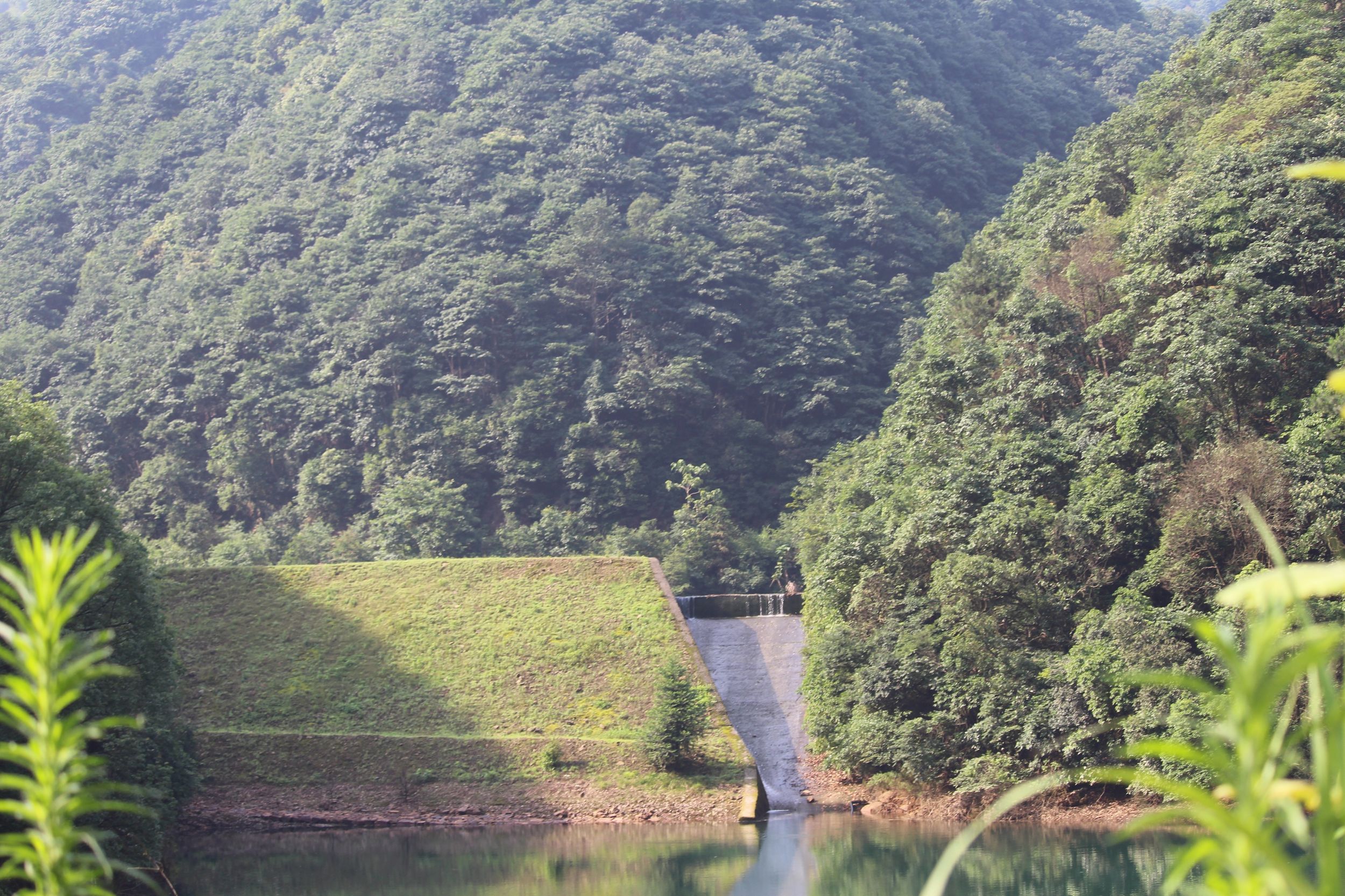 小洋坞水库