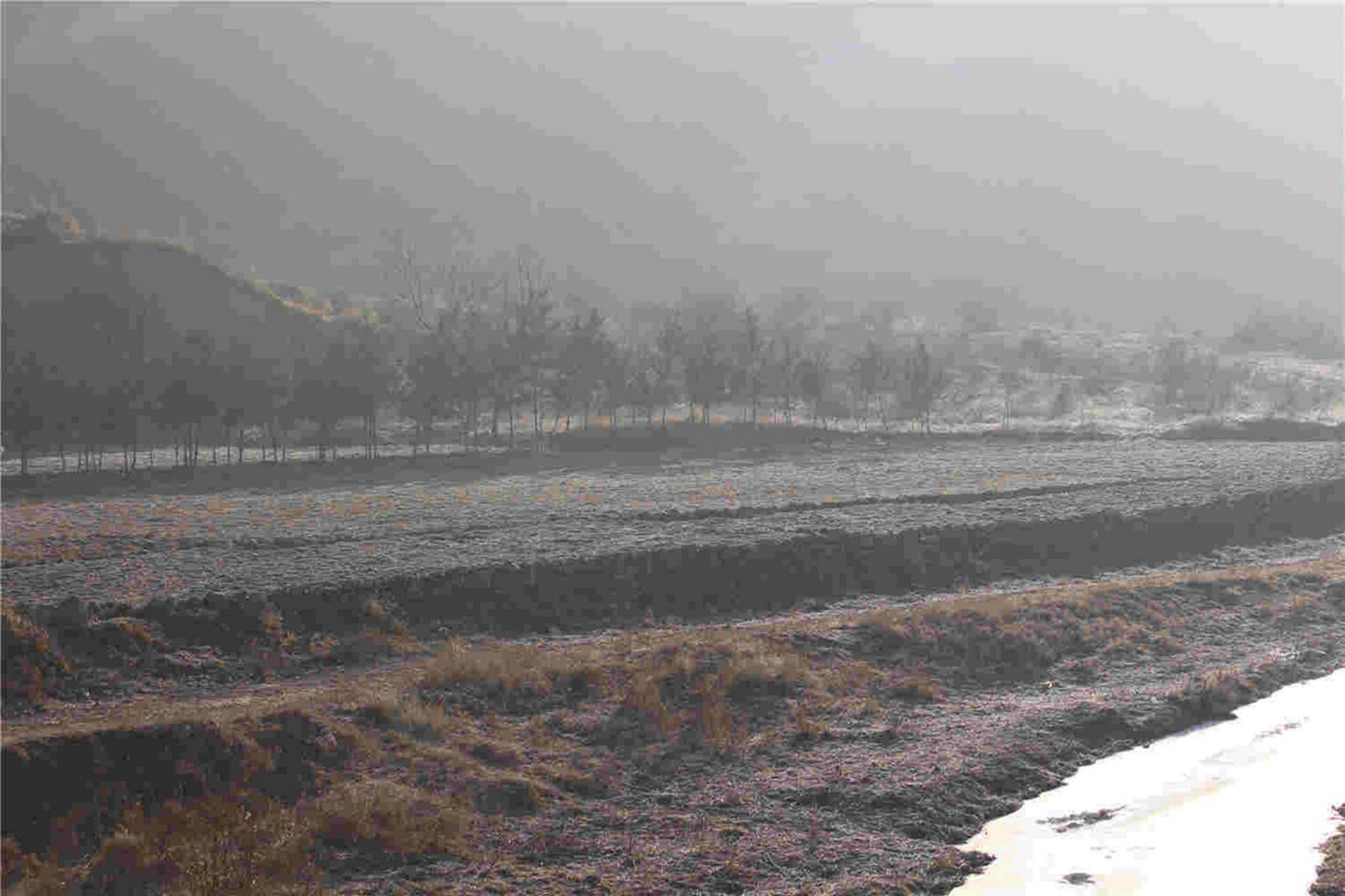 清水河北高洪口河滩