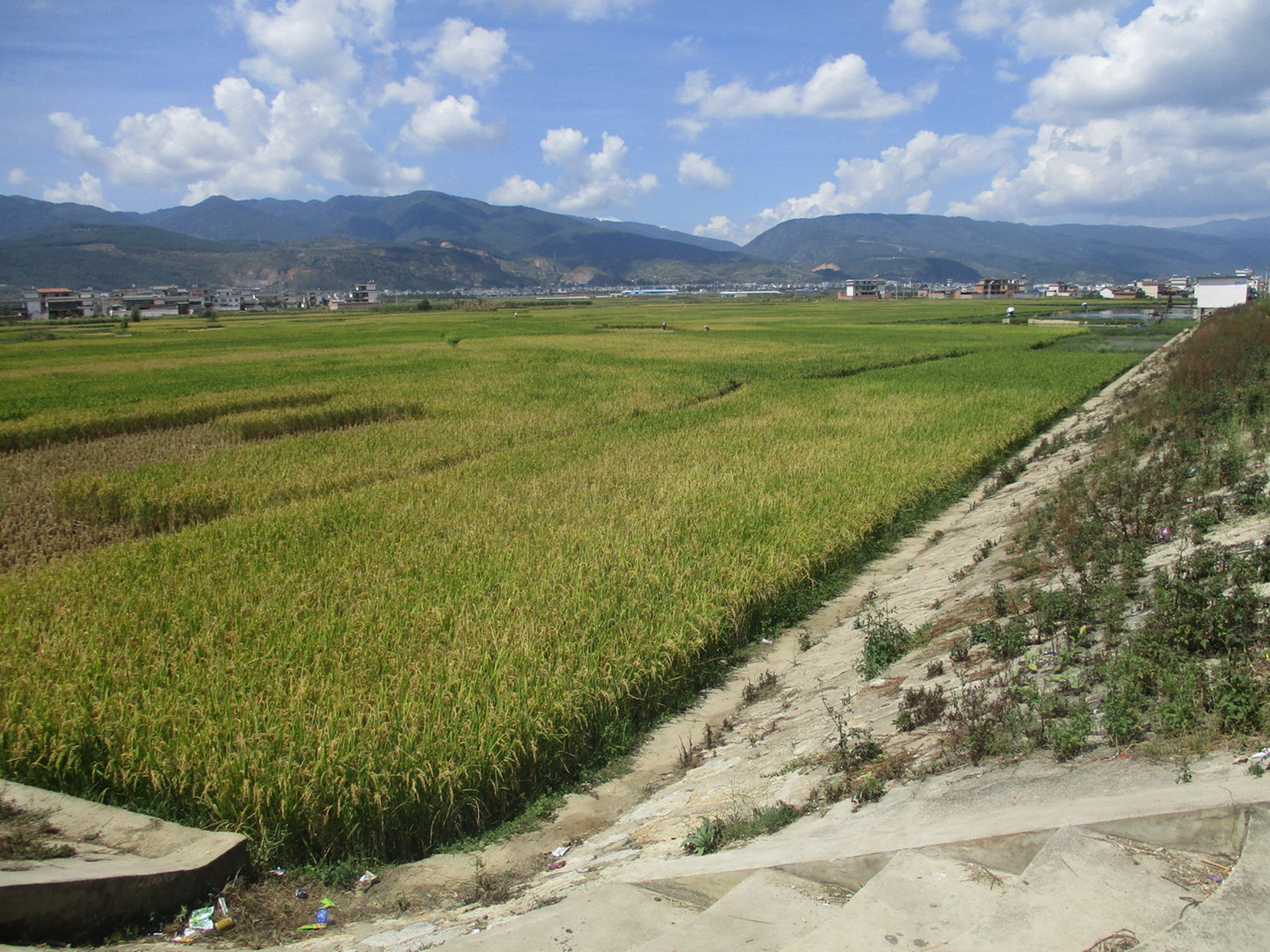 邹里水库