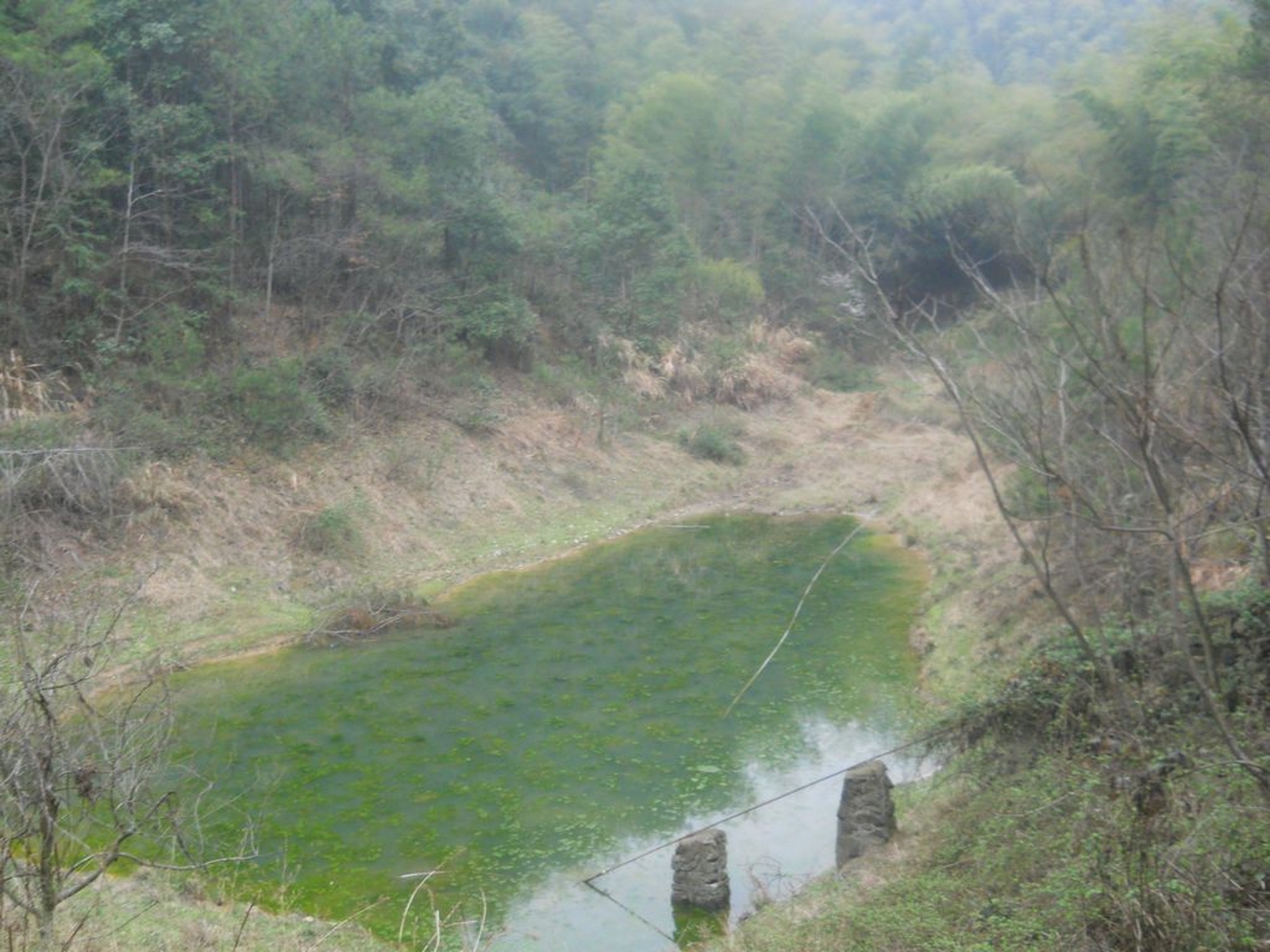 碳庄坞水库