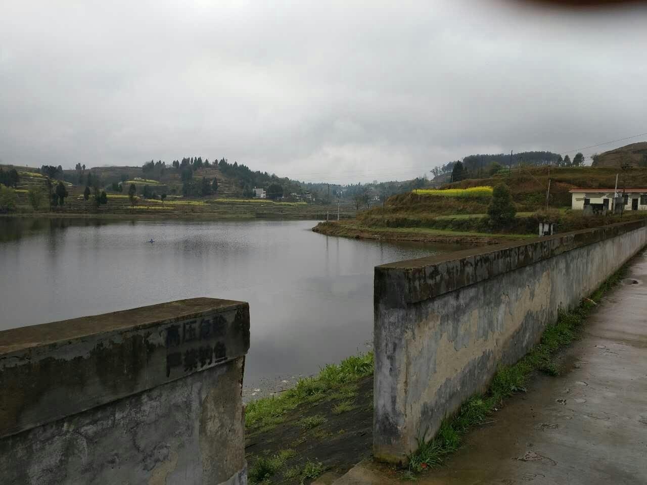 迴龙坝水库