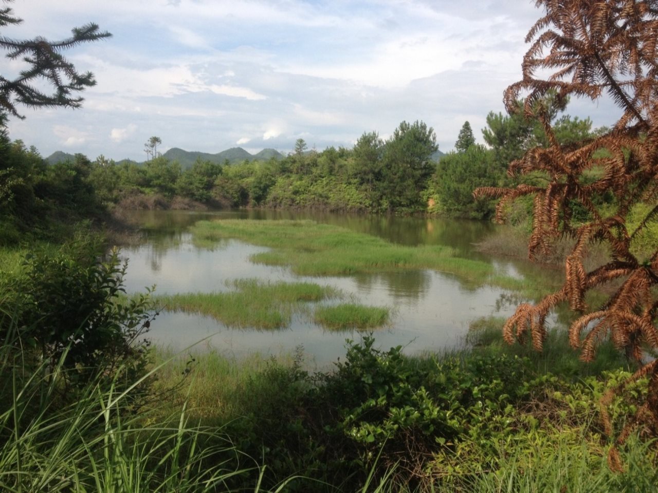 松柏垄水库