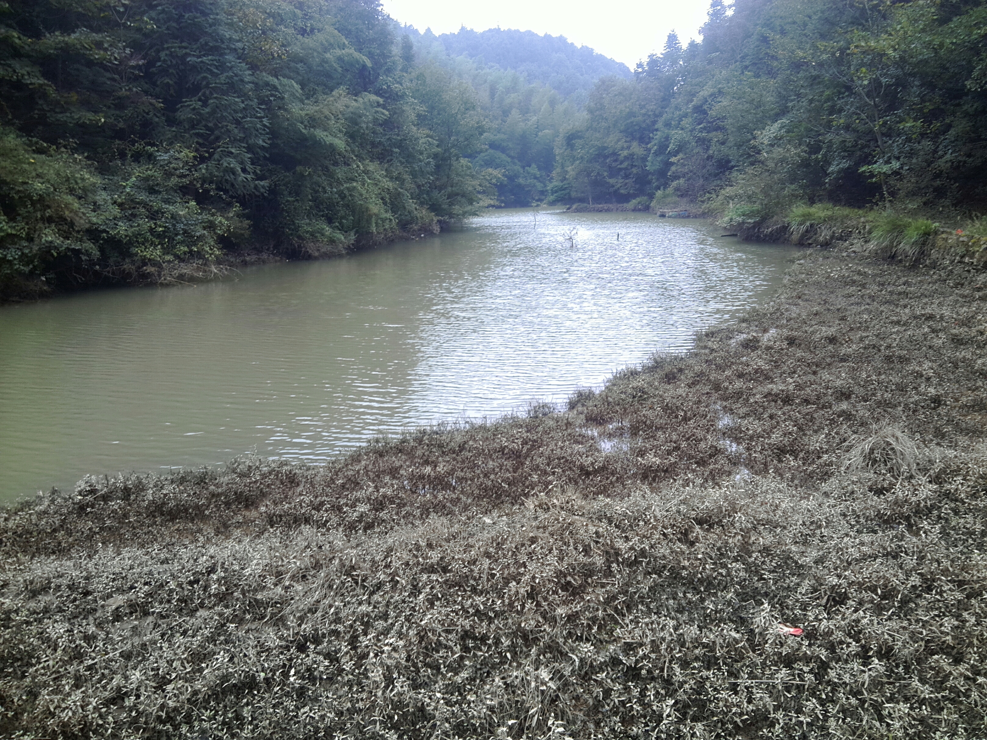 上营水库