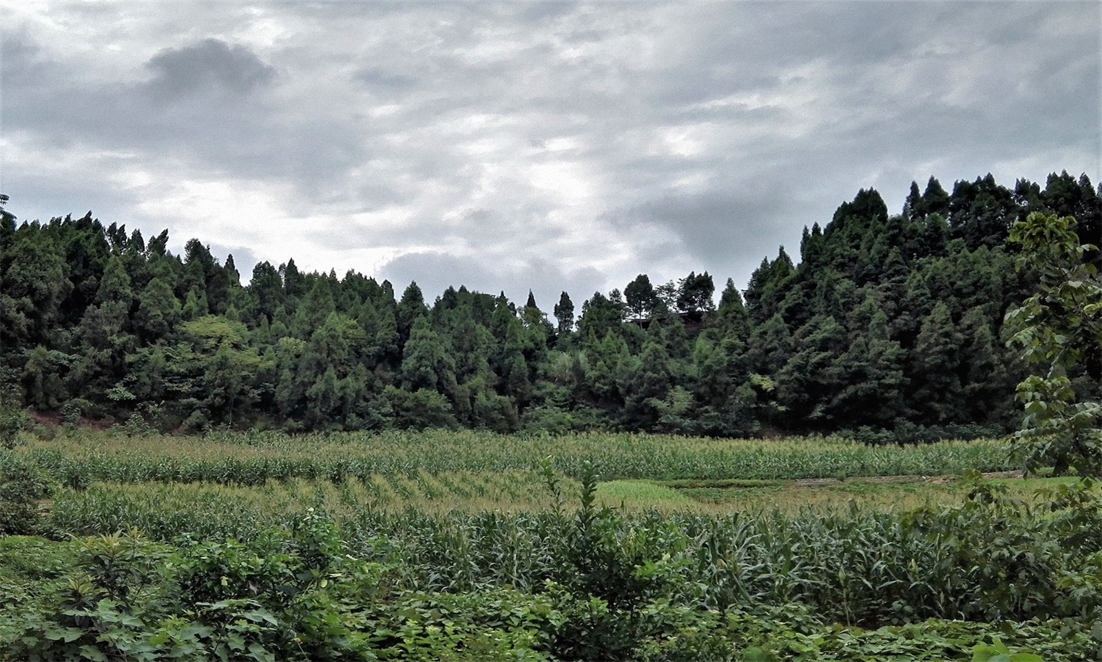 五洞山景区