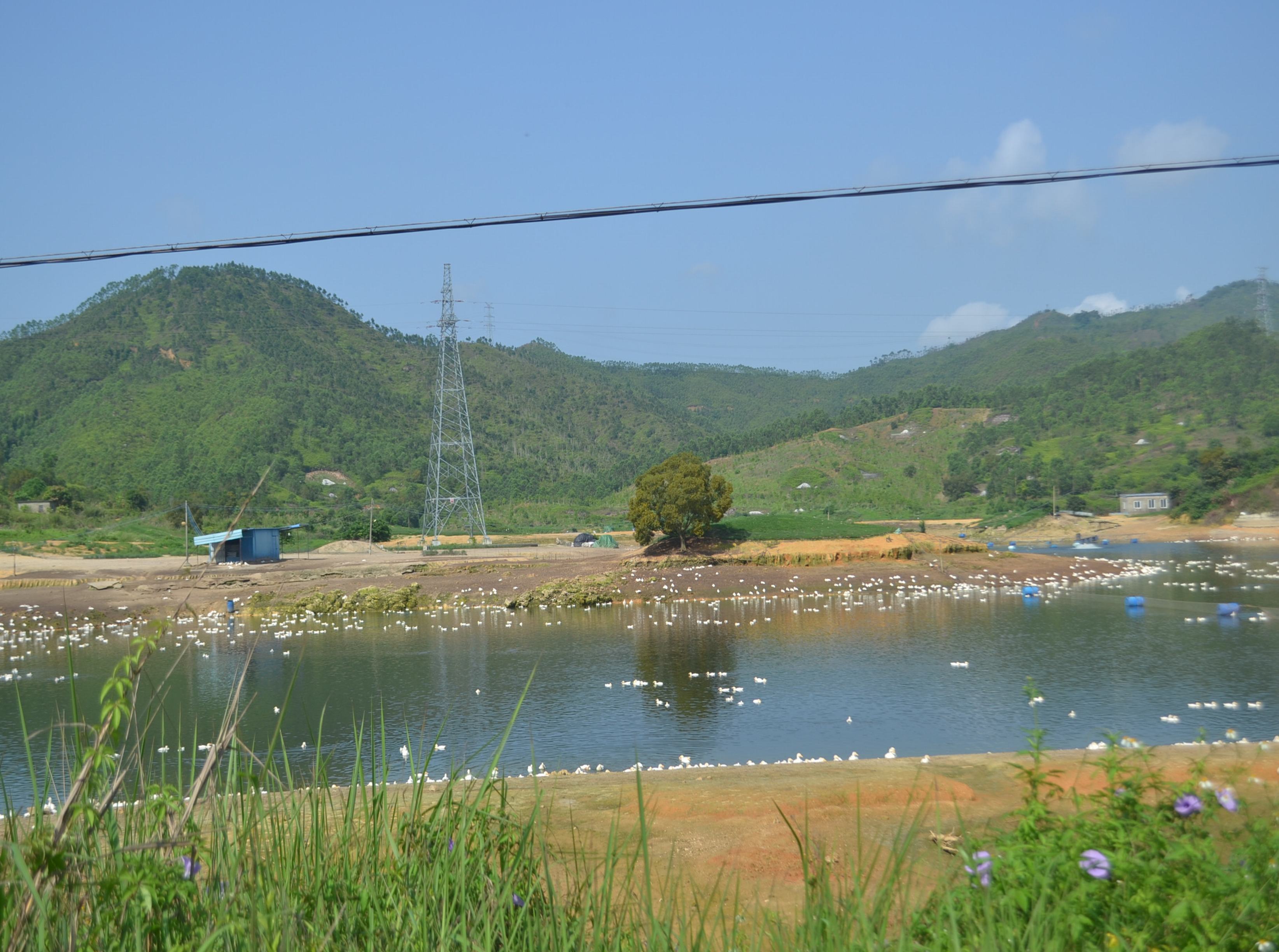 虎噉水库