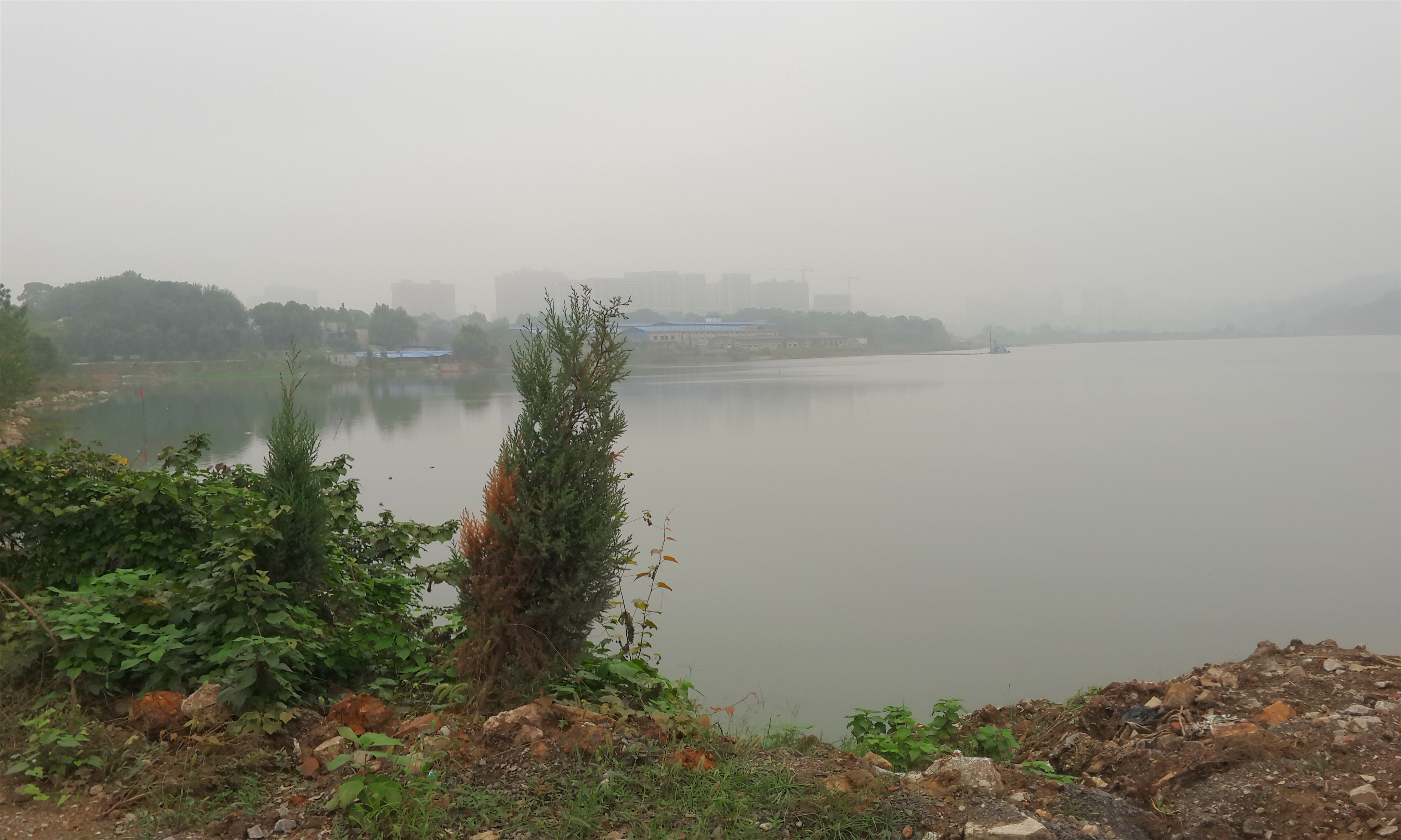 青港湖