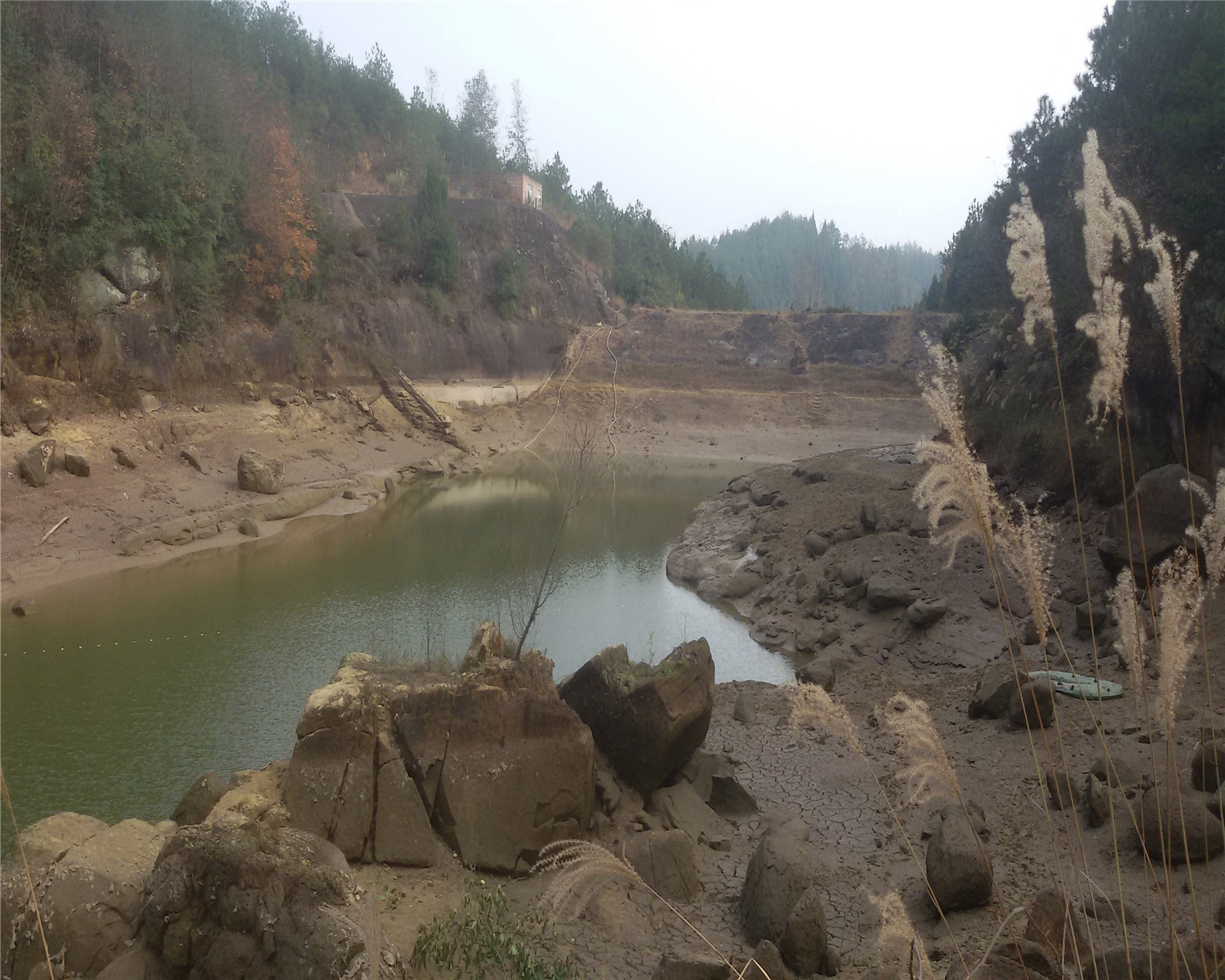 枫香树湾水库