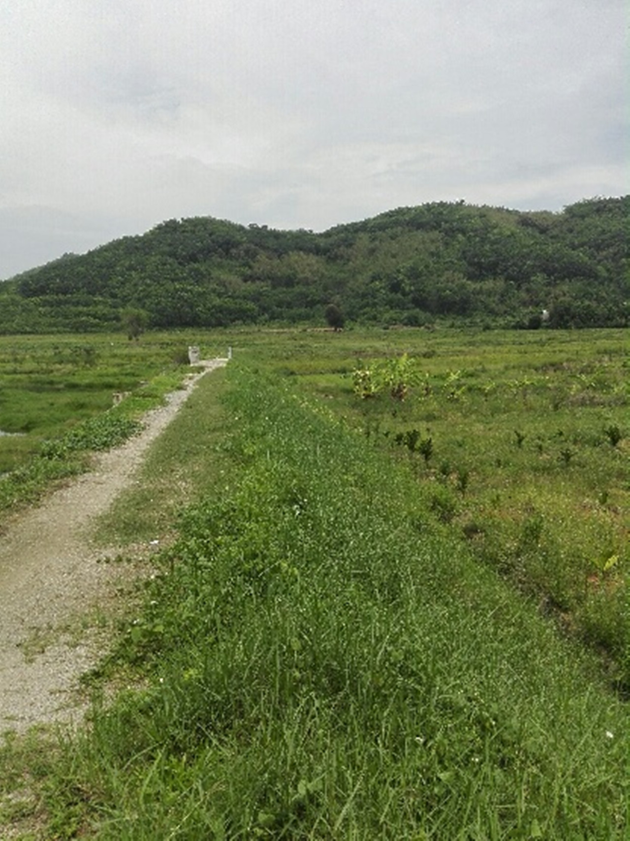 万车水库