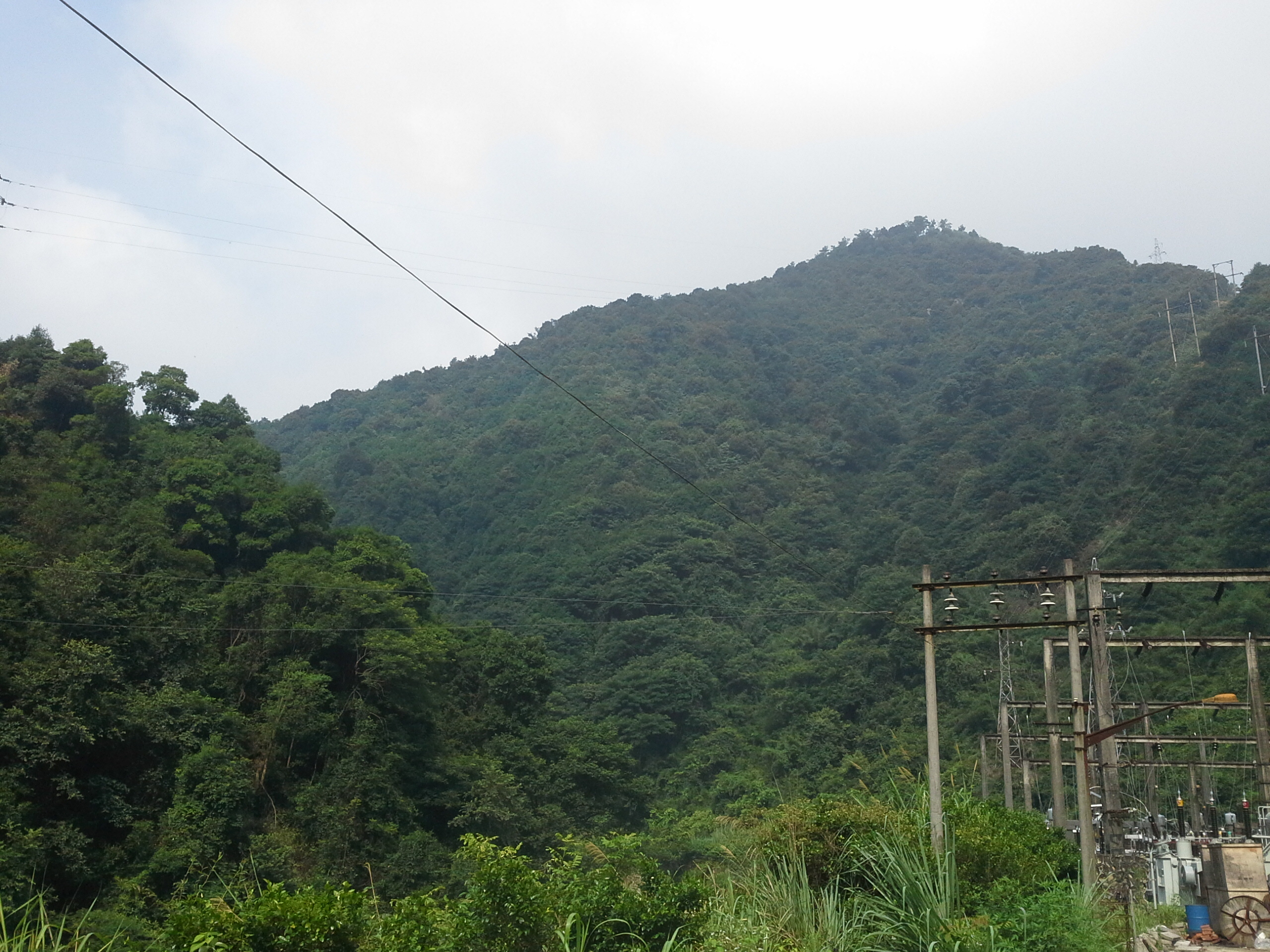 吉安市青原区白云山森林公园