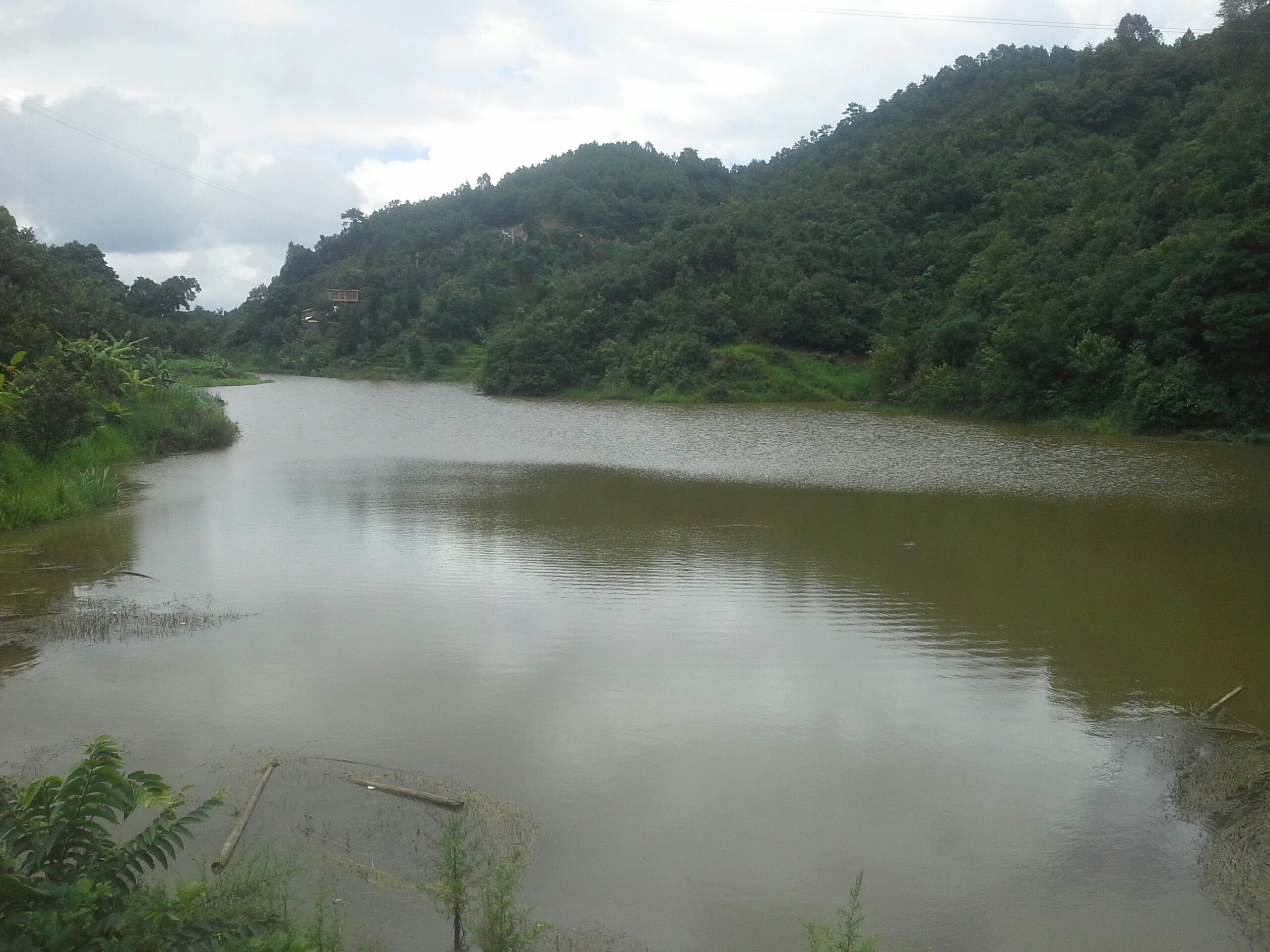 李子树水库