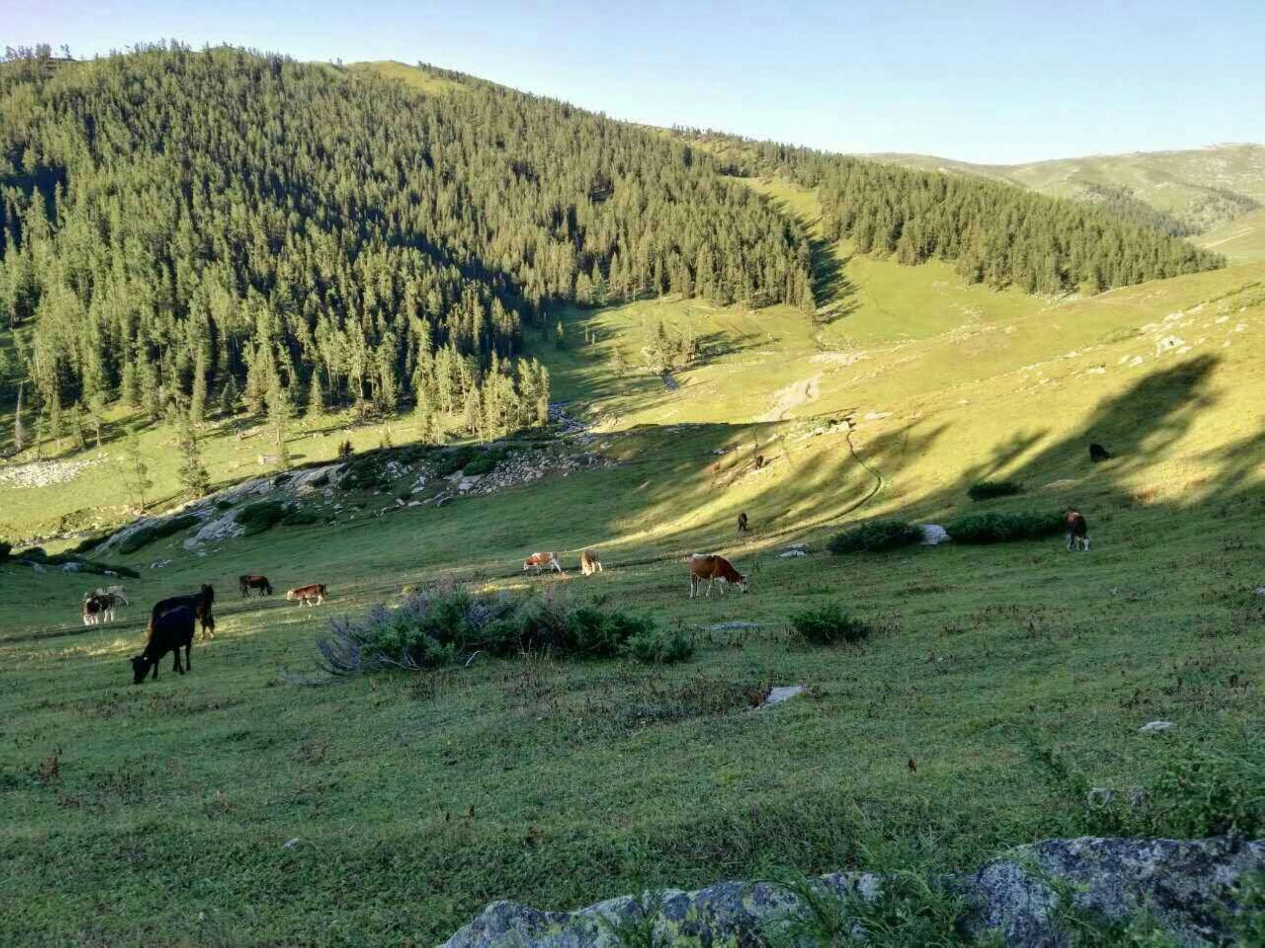 阿贡盖特草原石人风景区