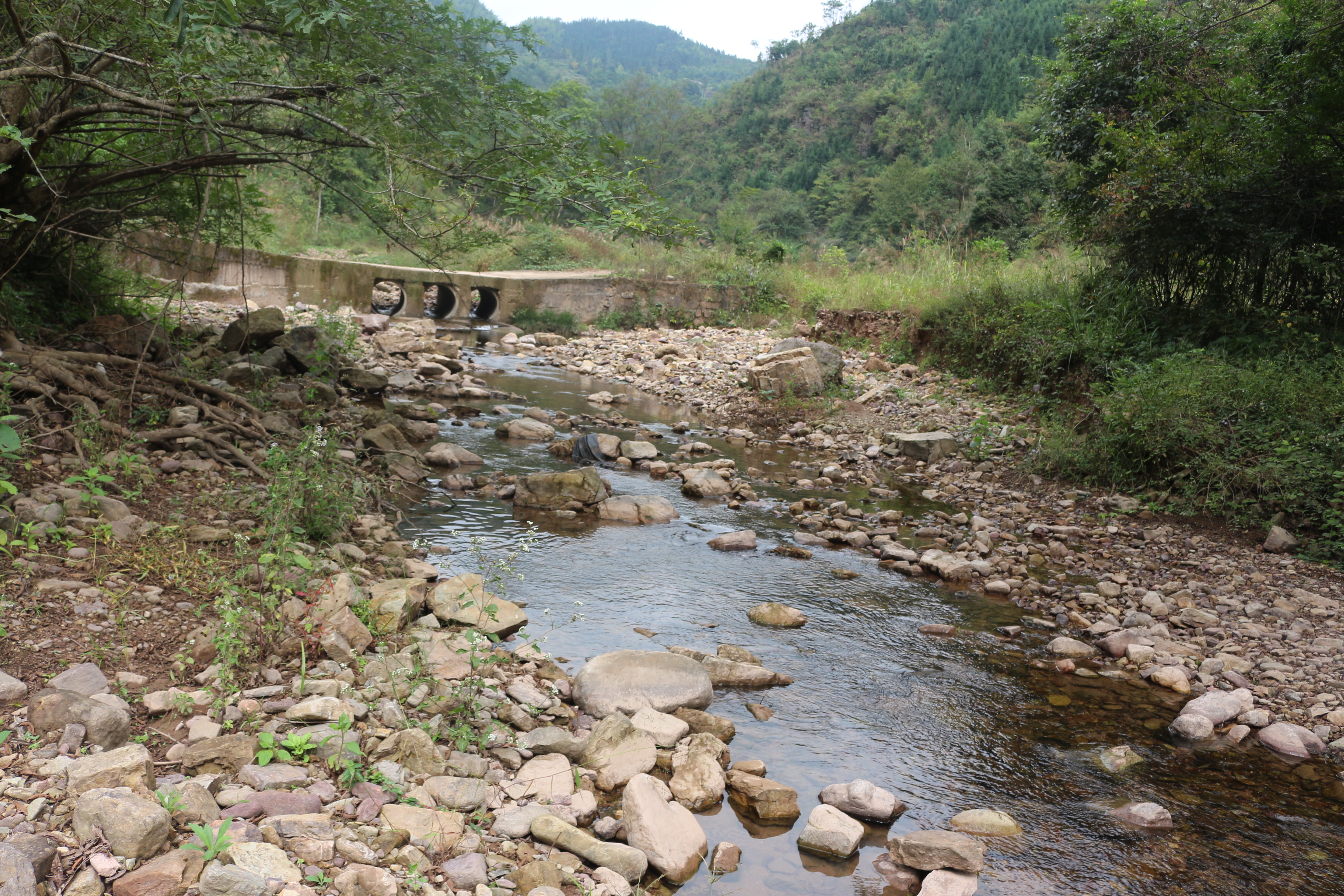 竹江河