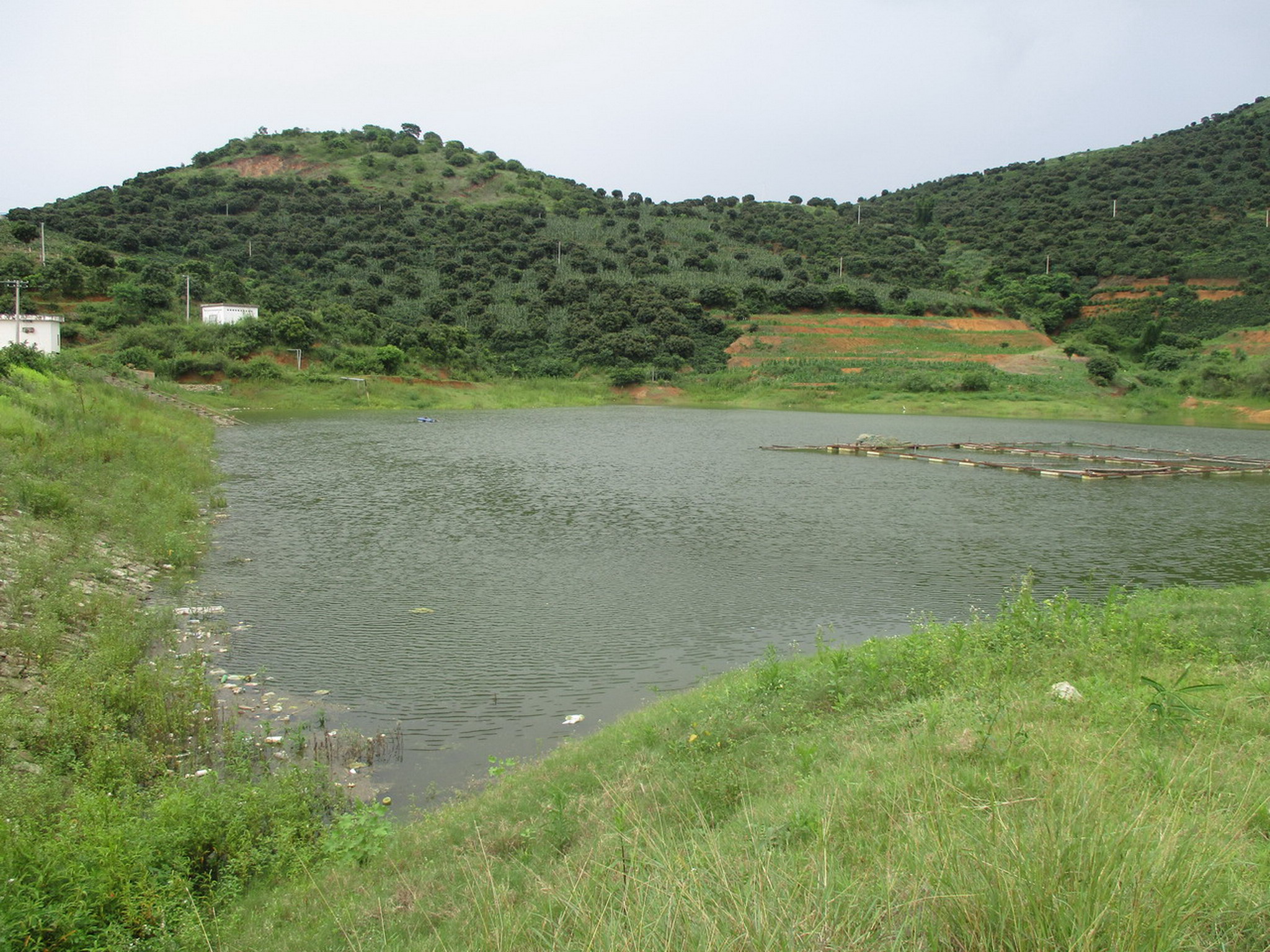 田心水库