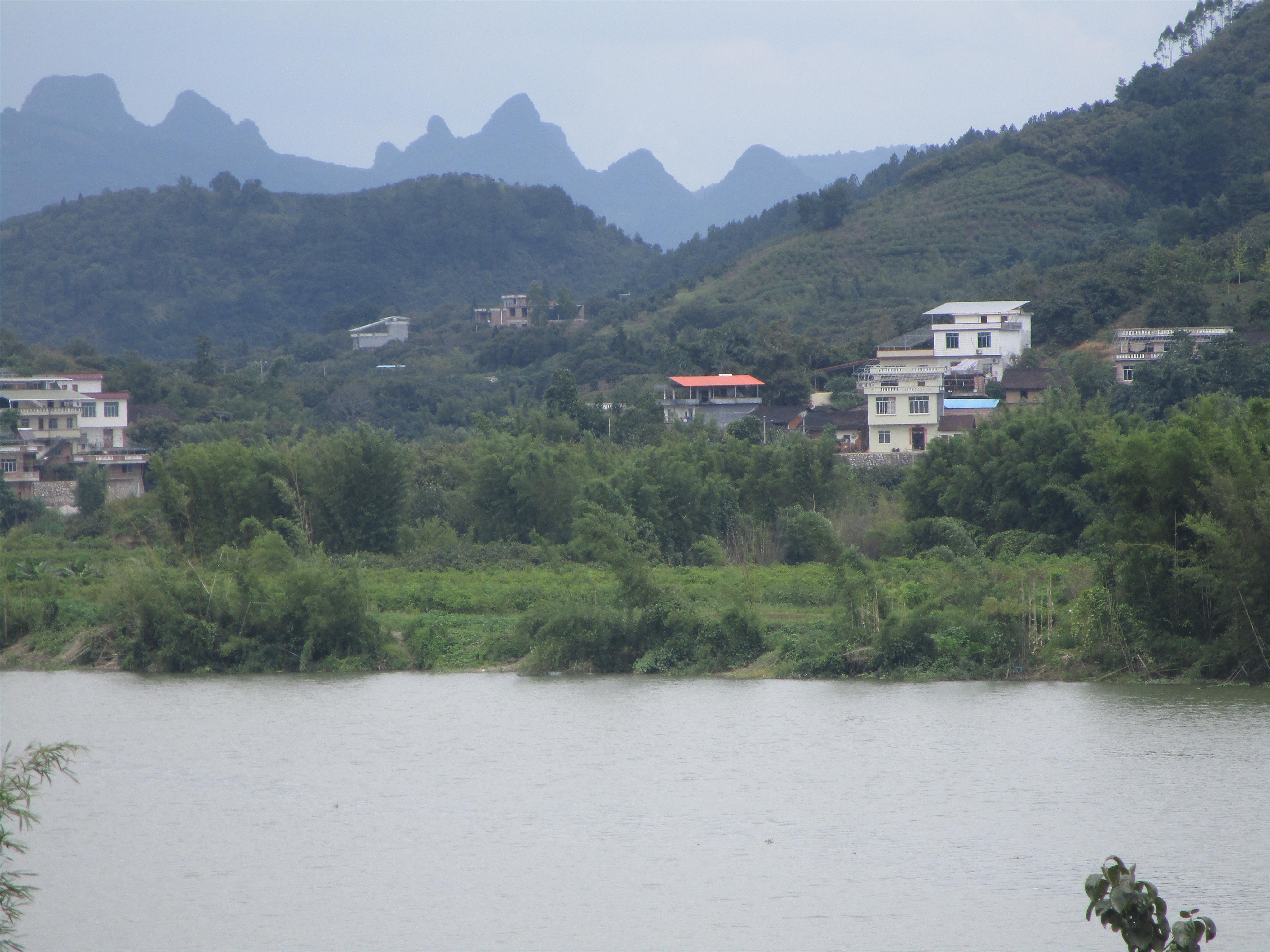 鲤鱼洲