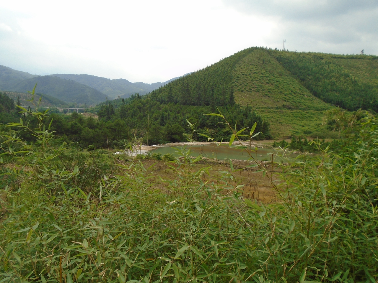 蓝坨水库