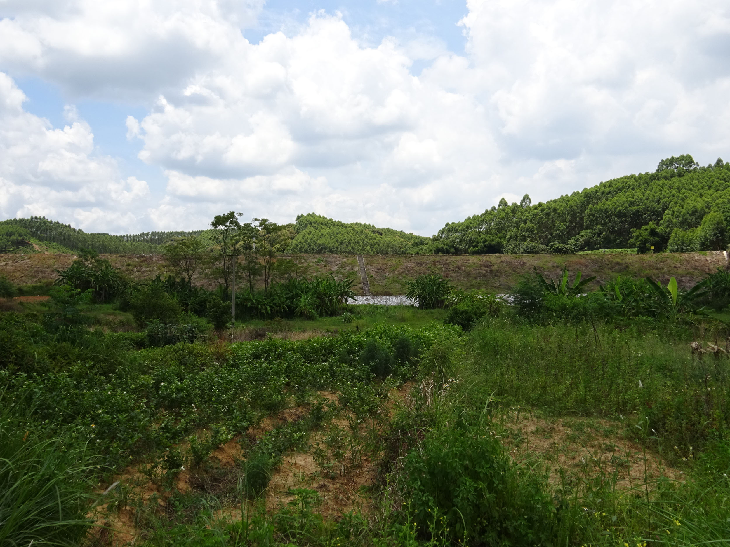 南阳塘水库