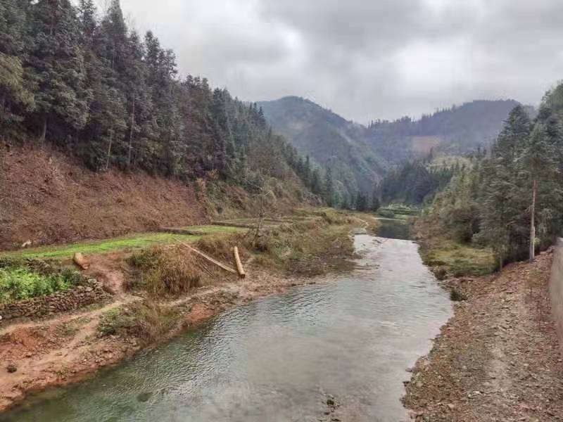 高露河