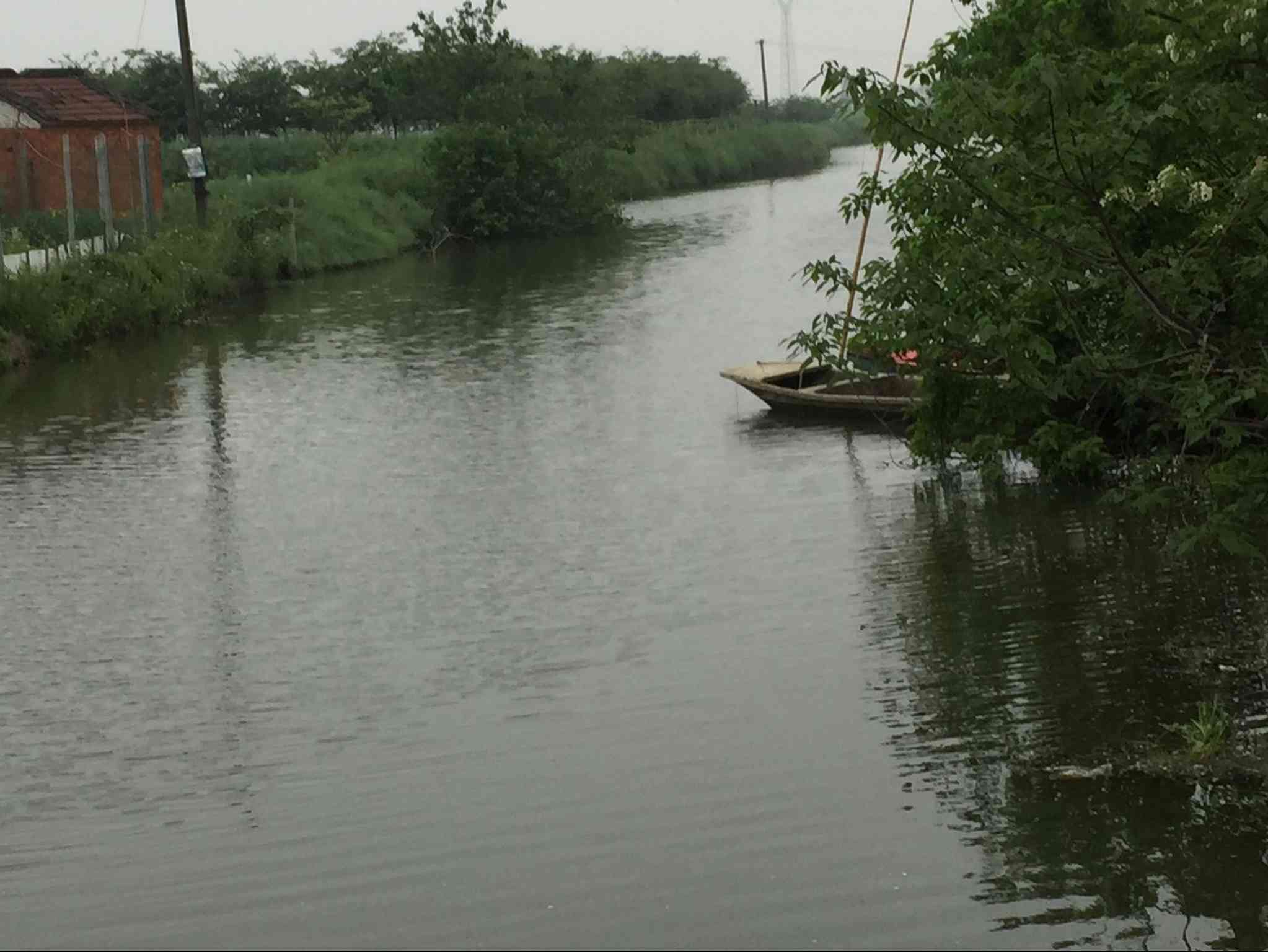 圩三中河