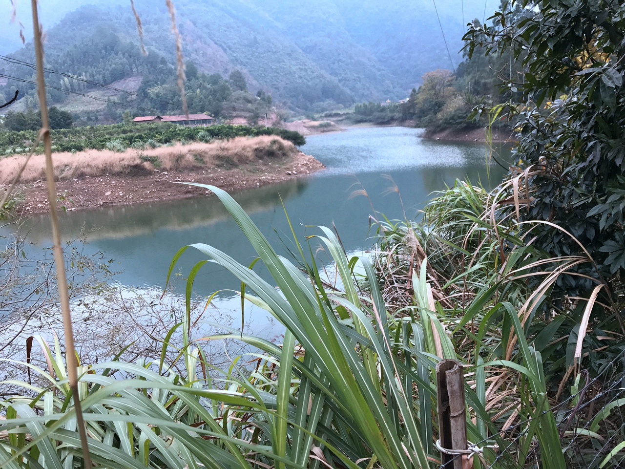 芳塘水库