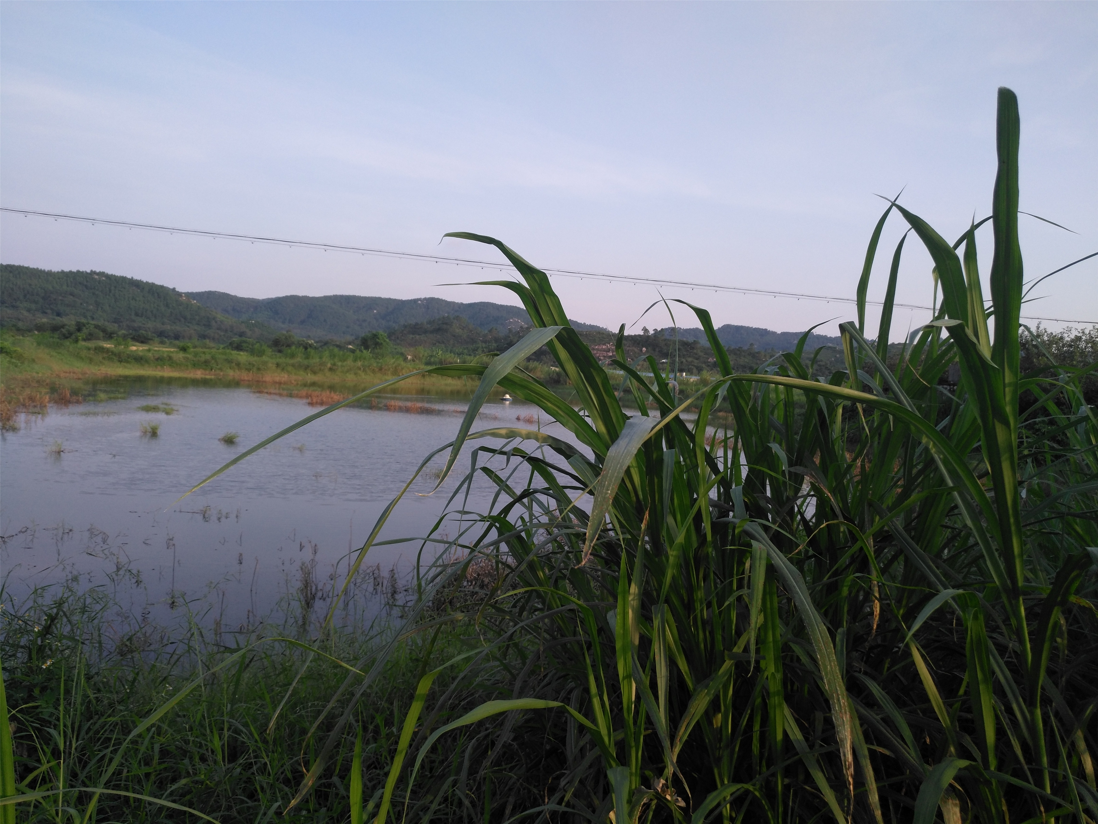 海龙湾